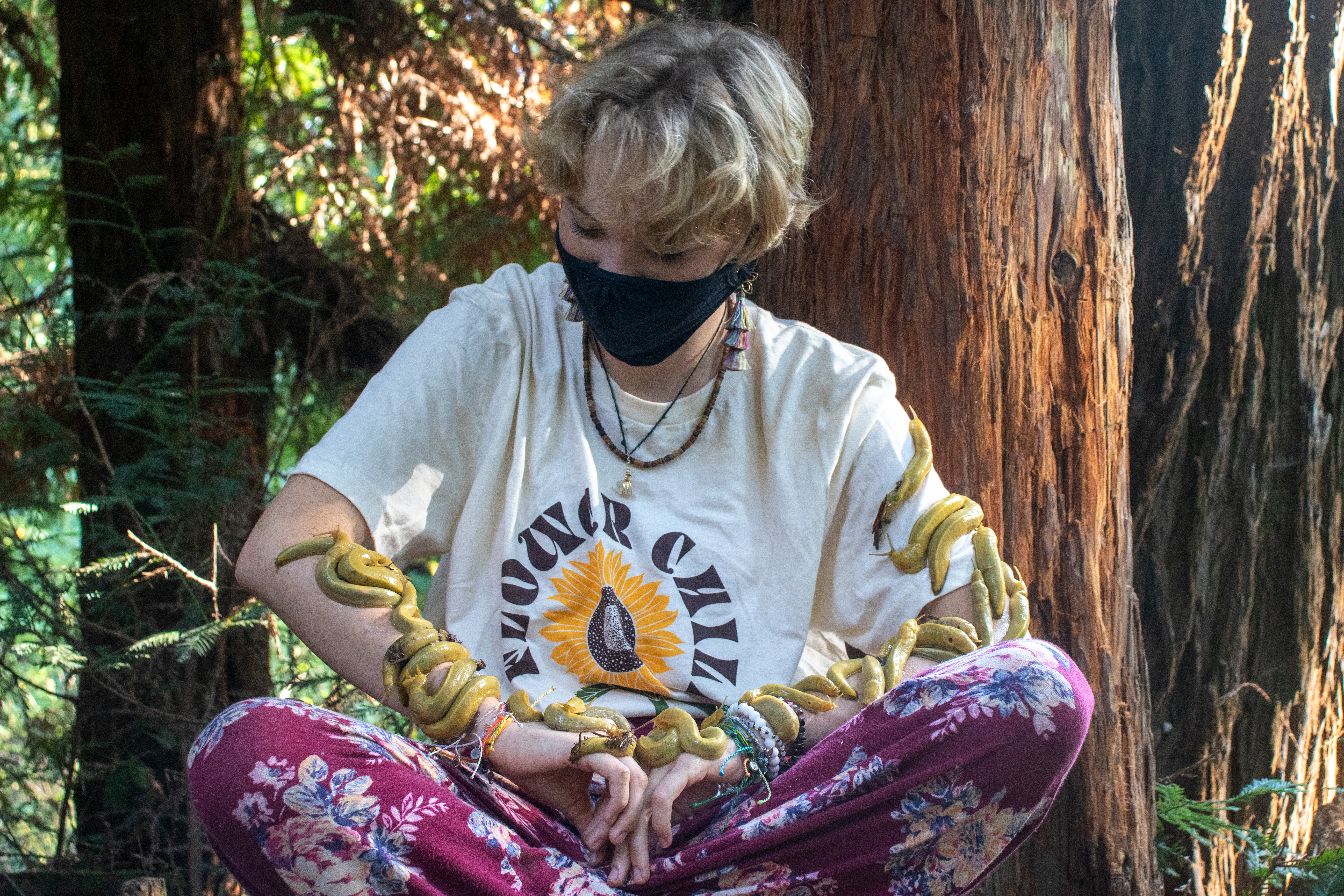 Hot gossip: Banana slug Edition