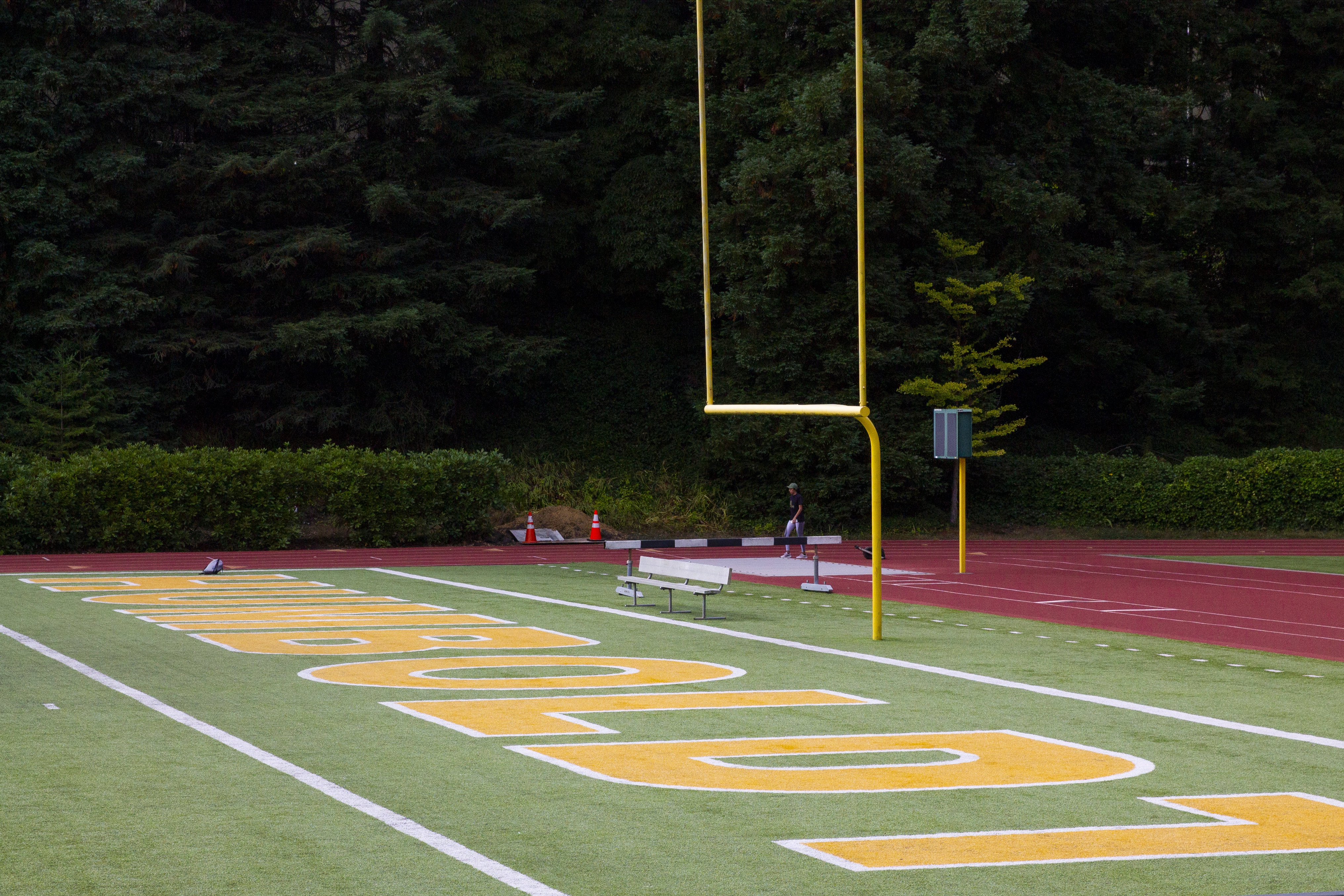 When in-person sports can’t be a reality, fantasy delievers