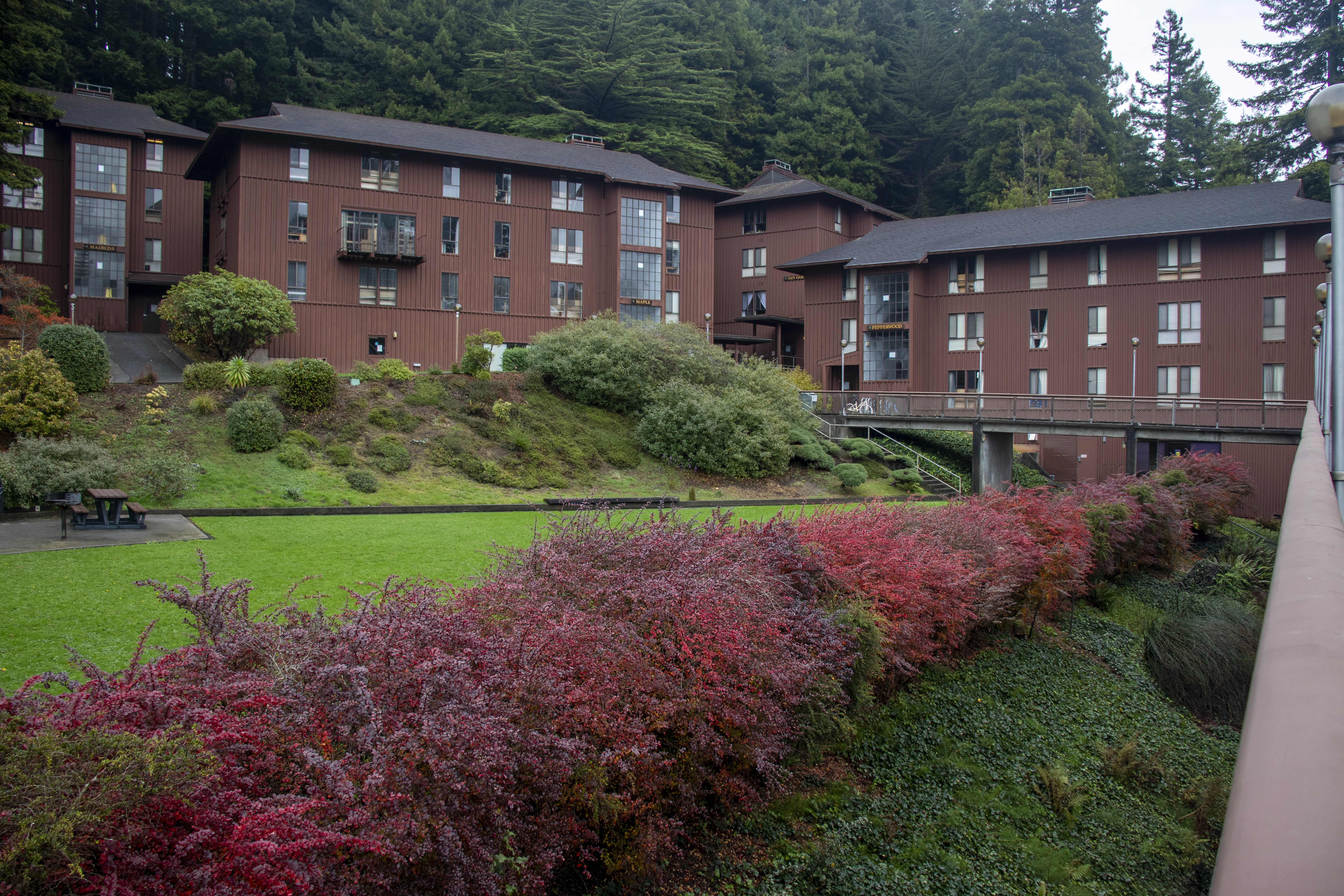 Dorm students cling to the college experience