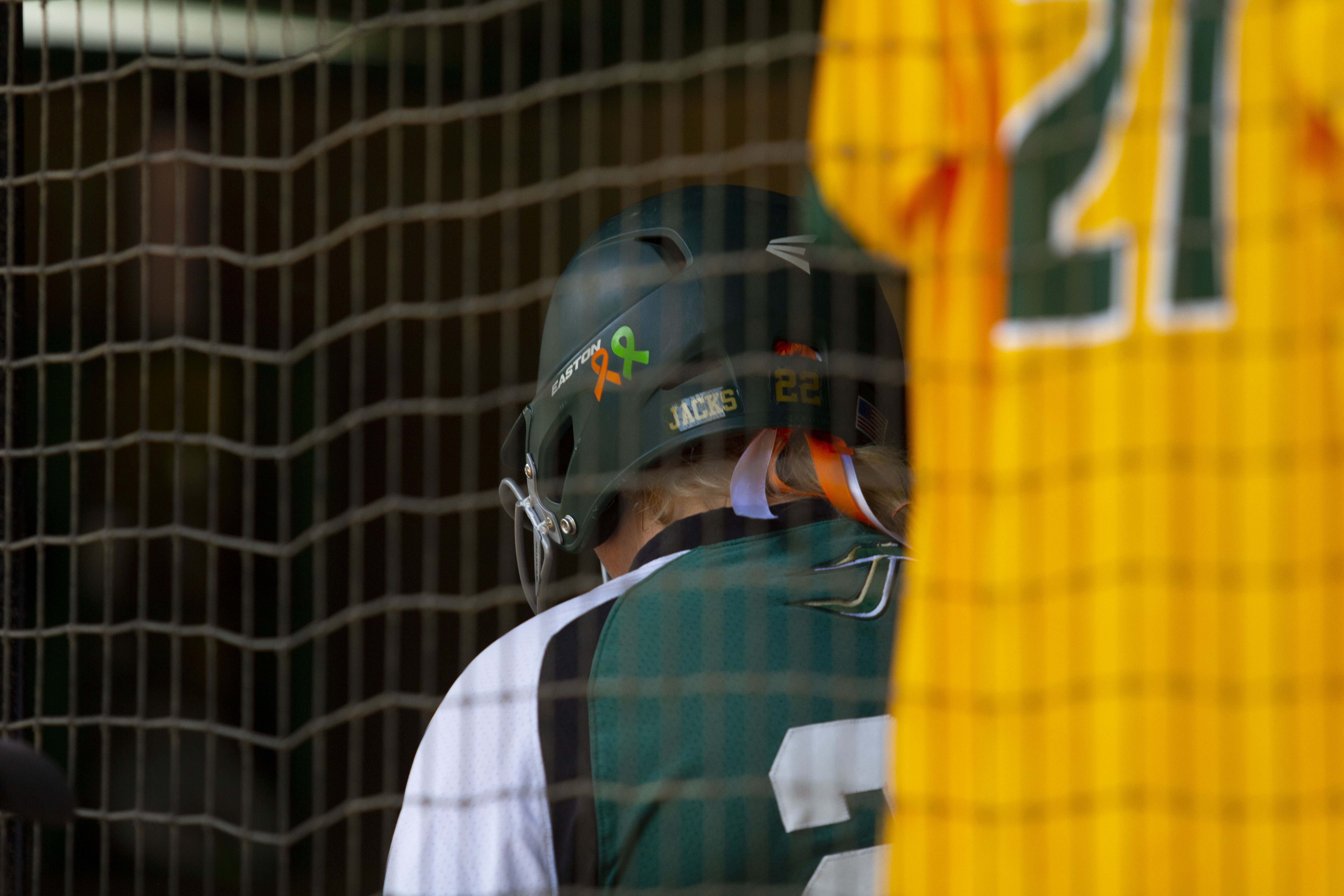 Remembering Evelyn Andrews 10 months after her passing