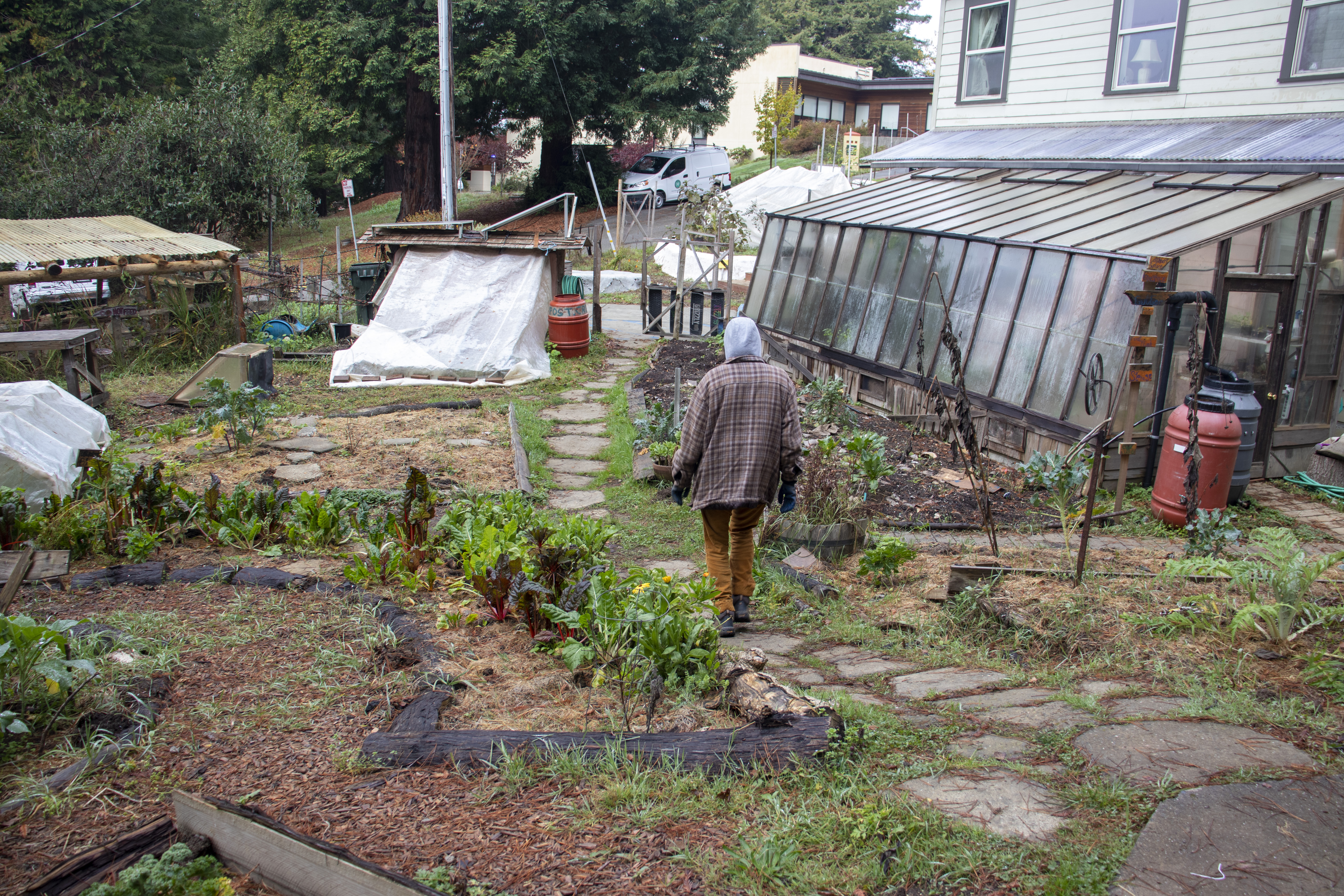 Maintaining a sustainable lifestyle during a global pandemic