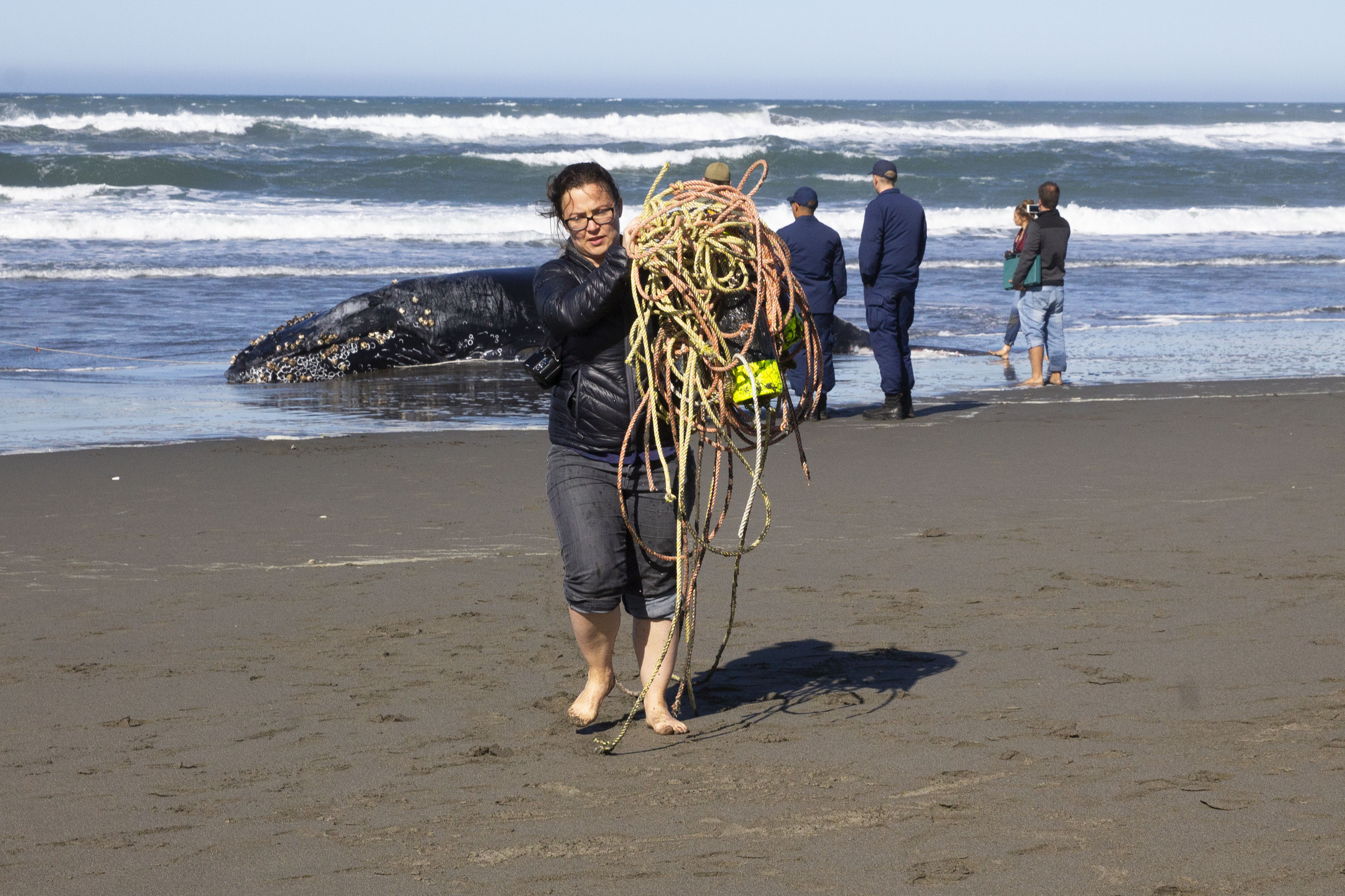 The dangers behind marine debris
