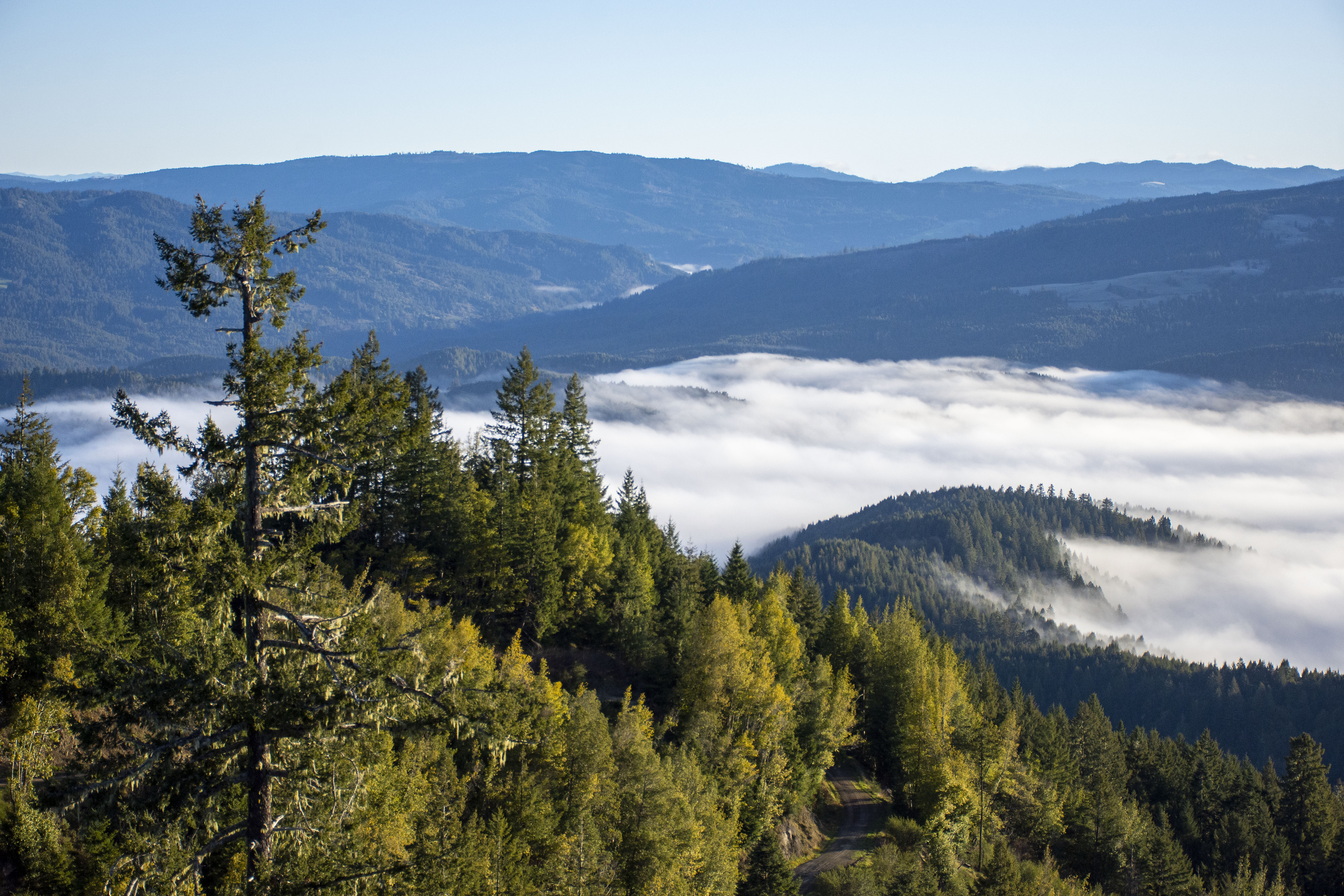 Update on HSU’s Climate Action Plan