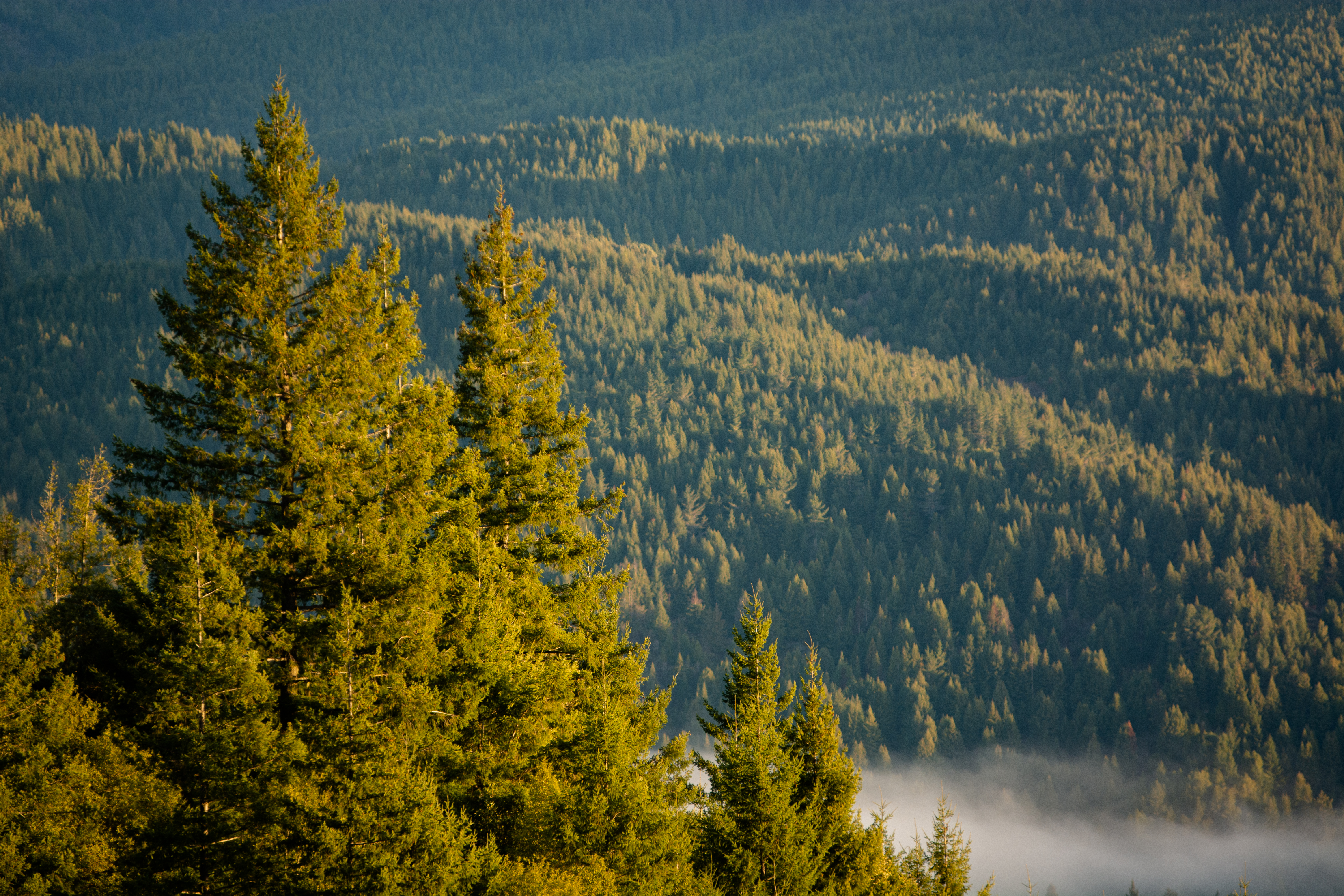 Does a new presidency bring new environmental hope?