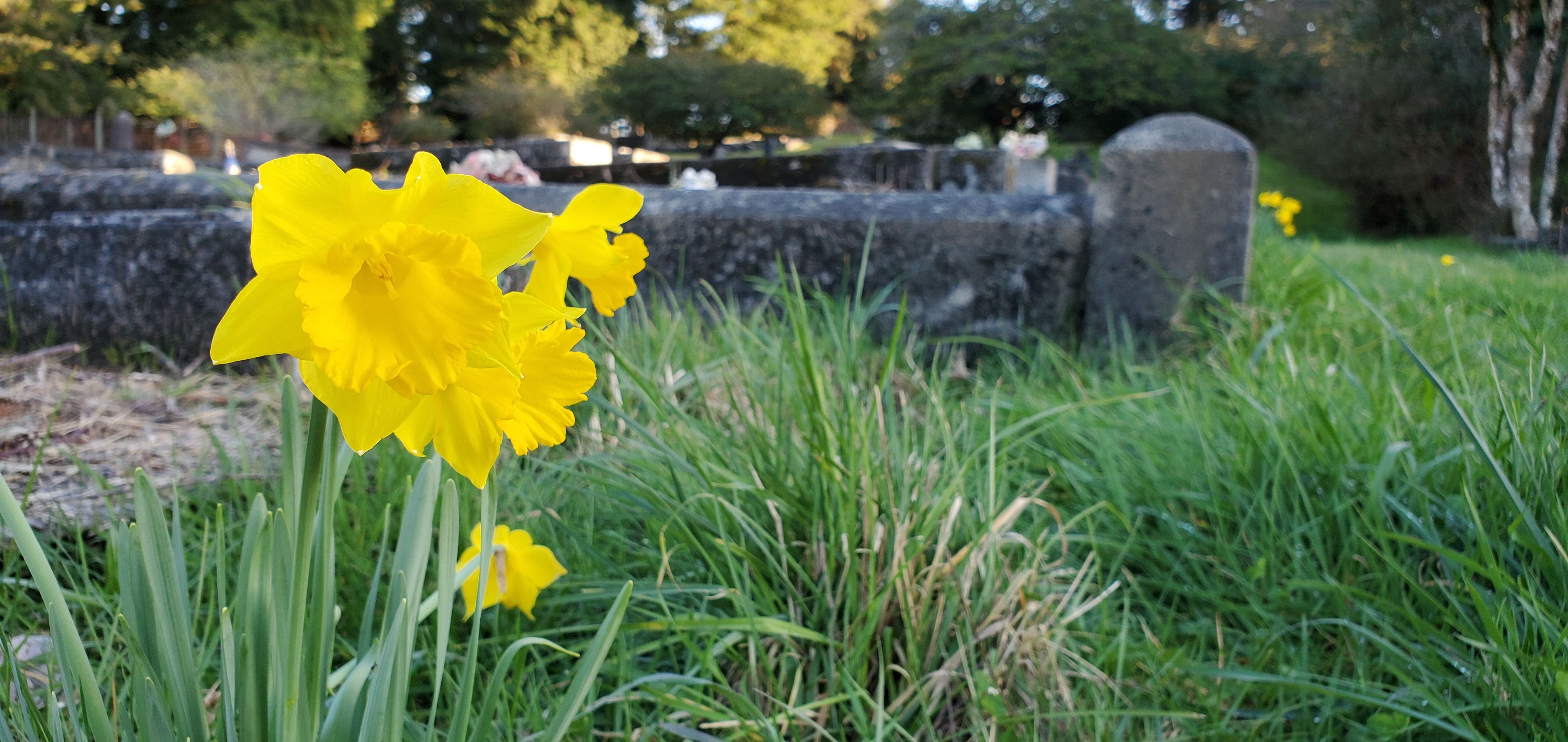 Dying a conscious death