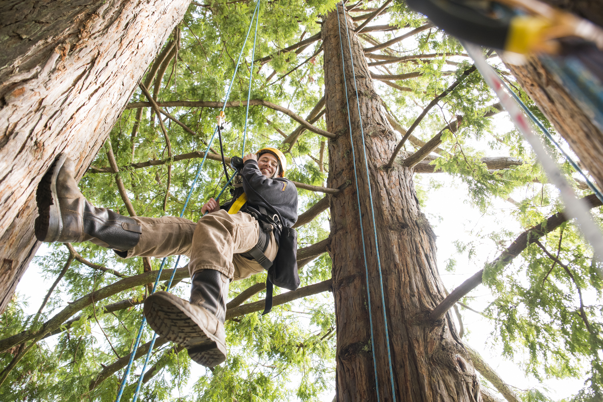 Wildlife program planning balances caution with opportunity