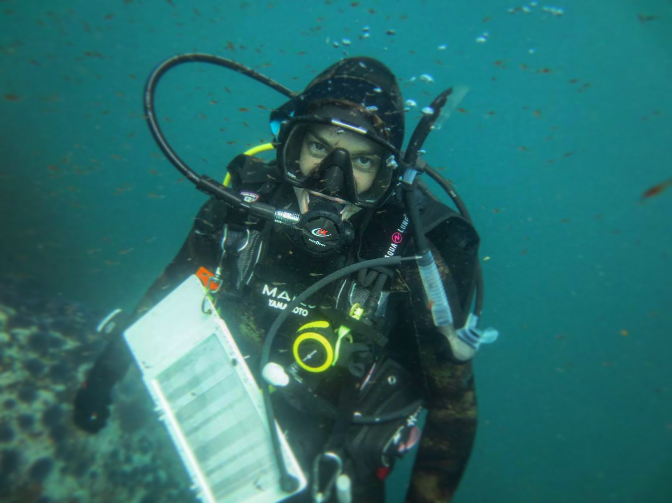 HSU takes a dive underwater
