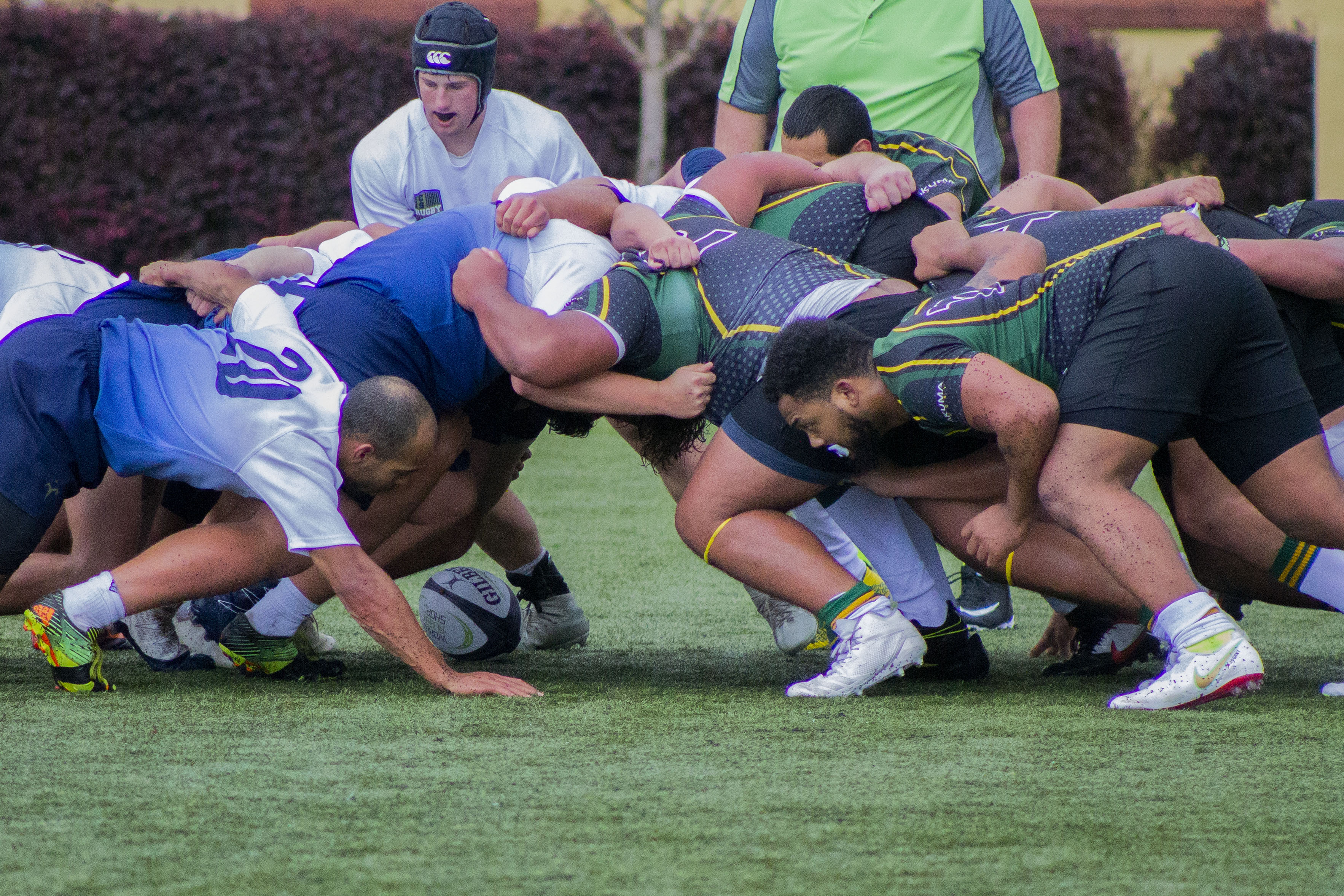 NCAA Sports begin, but not clubs