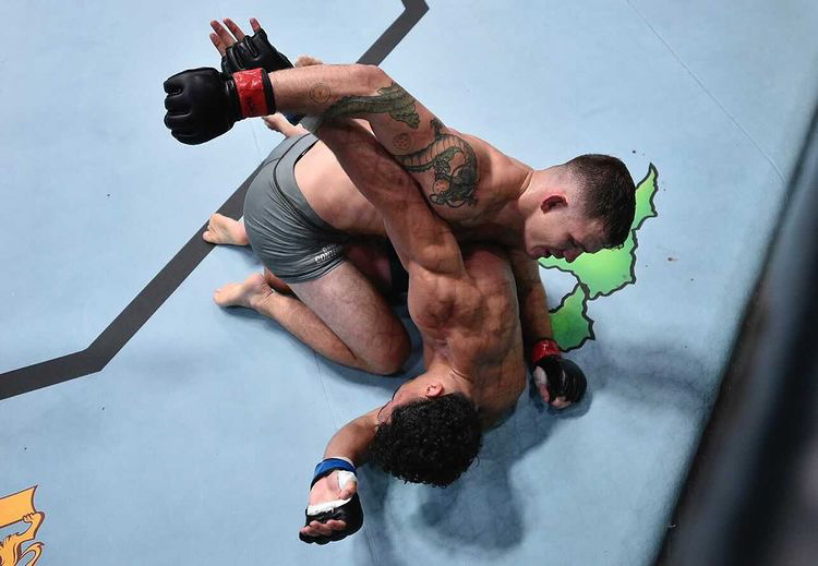 Orion and Louis Cosce, brothers from Humboldt County, fight for UFC notoriety