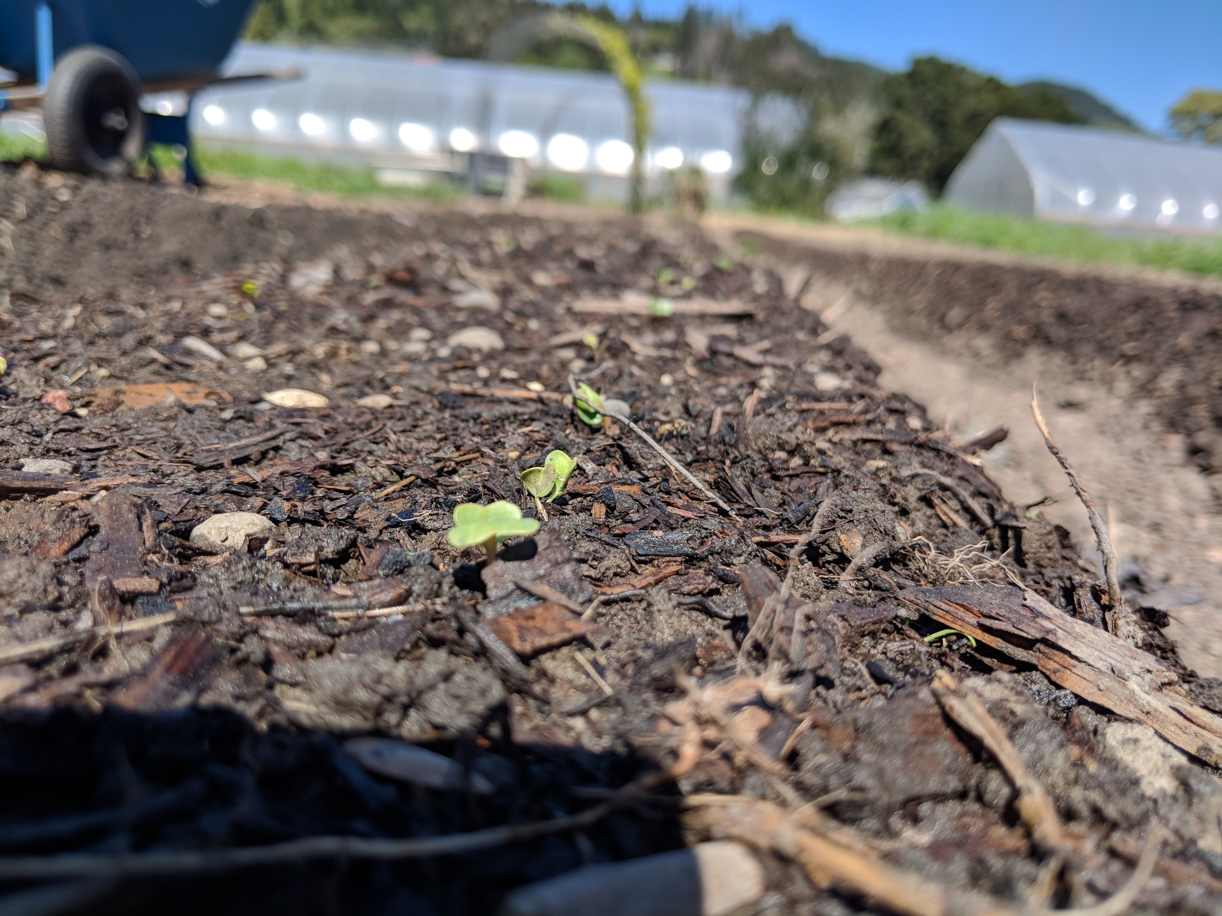 Agriculture grant funds Blue Lake Rancheria workshops