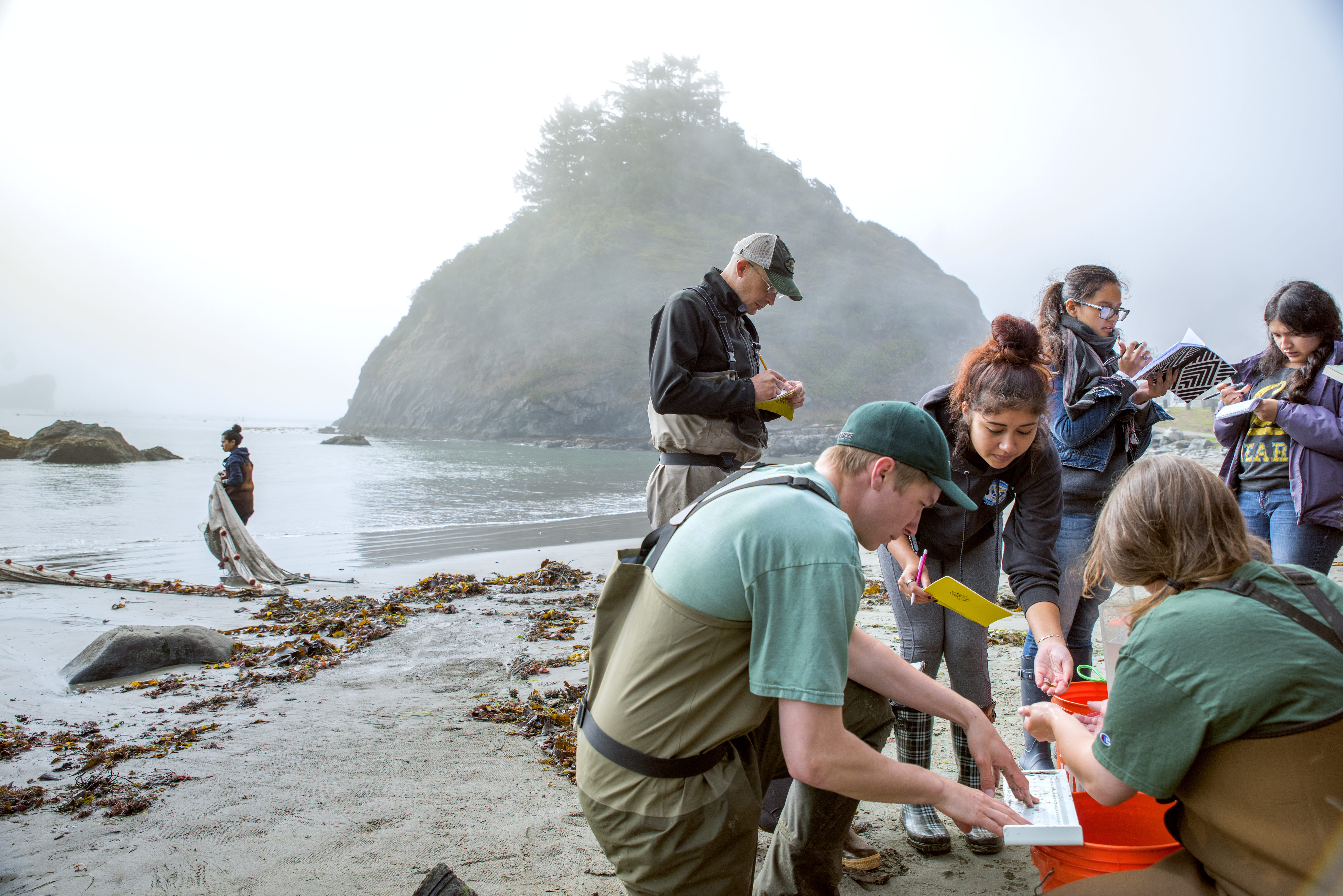 HSU establishes a collaborative space for Latinx STEM disciplines with ¡Échale Ganas!
