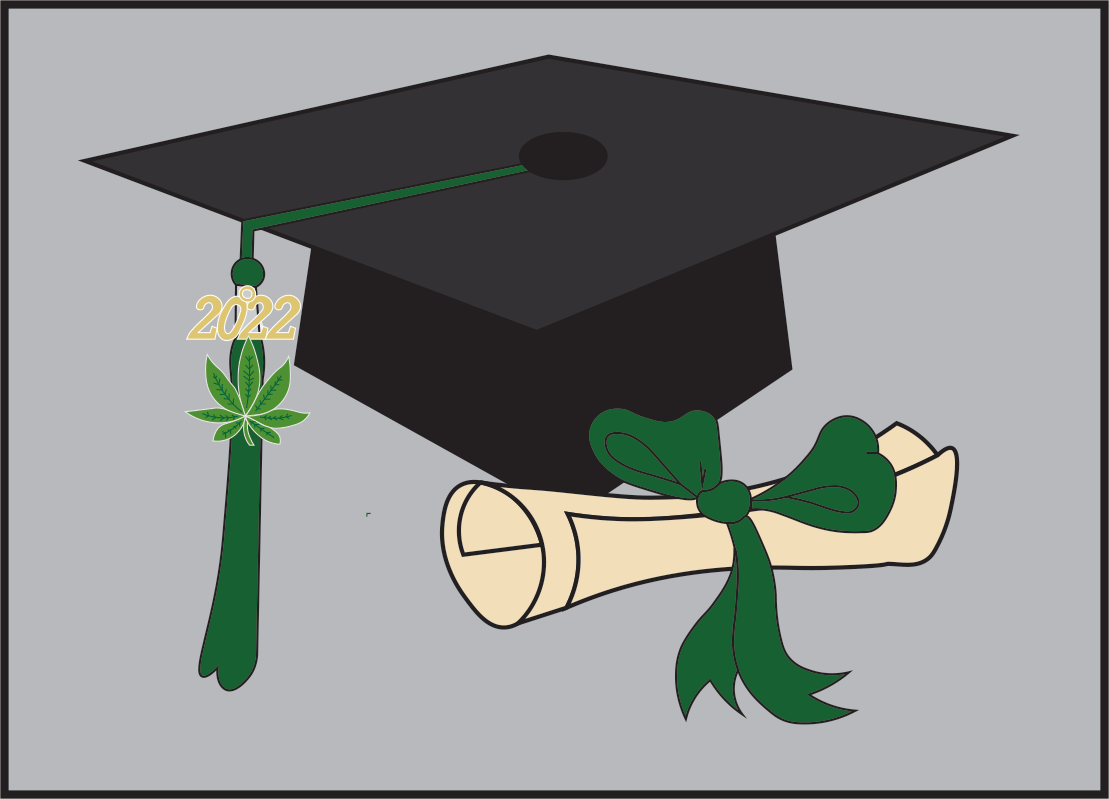 Interdisciplinary Cannabis program to be offered at HSU