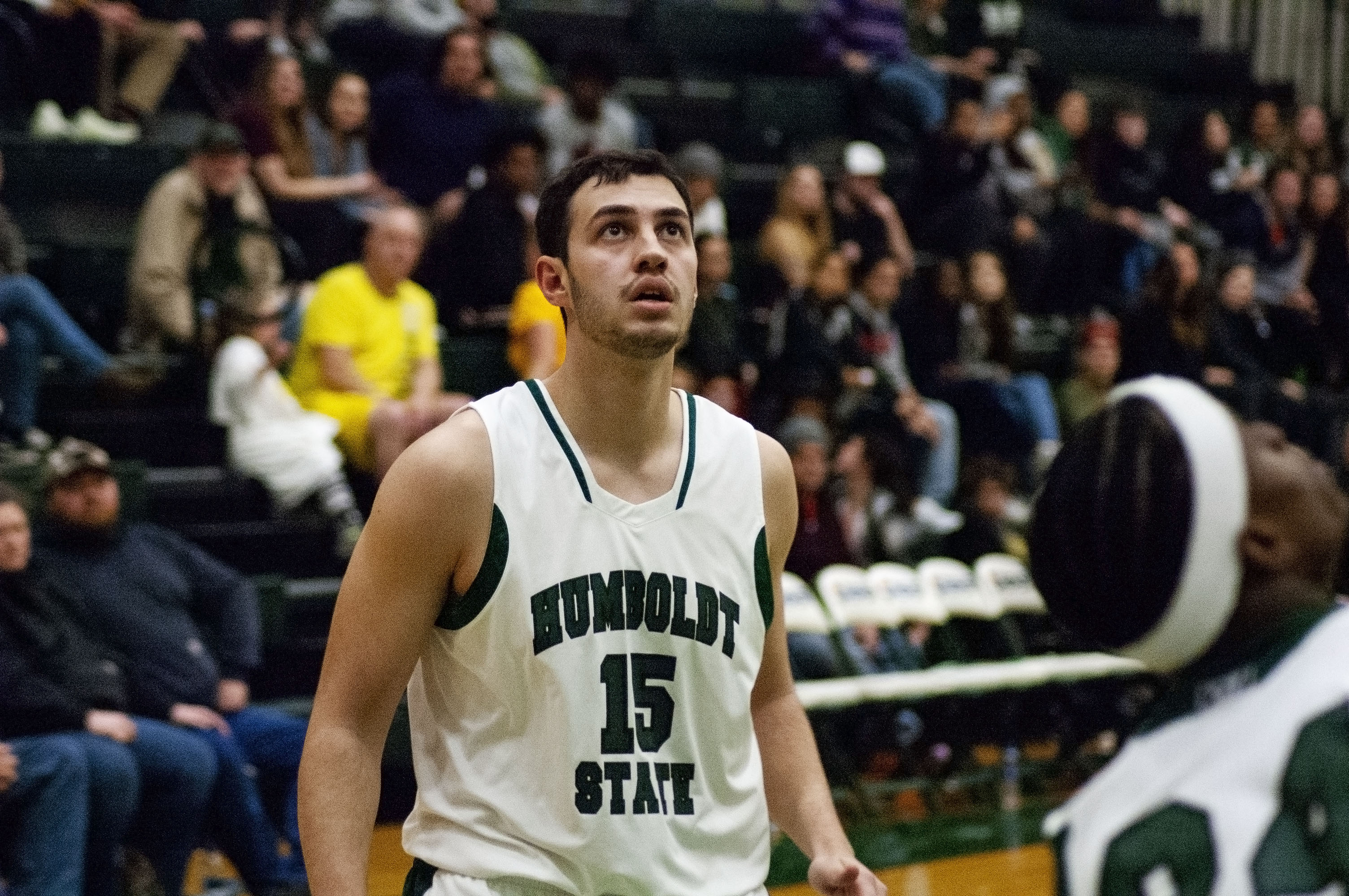 Slick Vic and the Basketball Chronicles