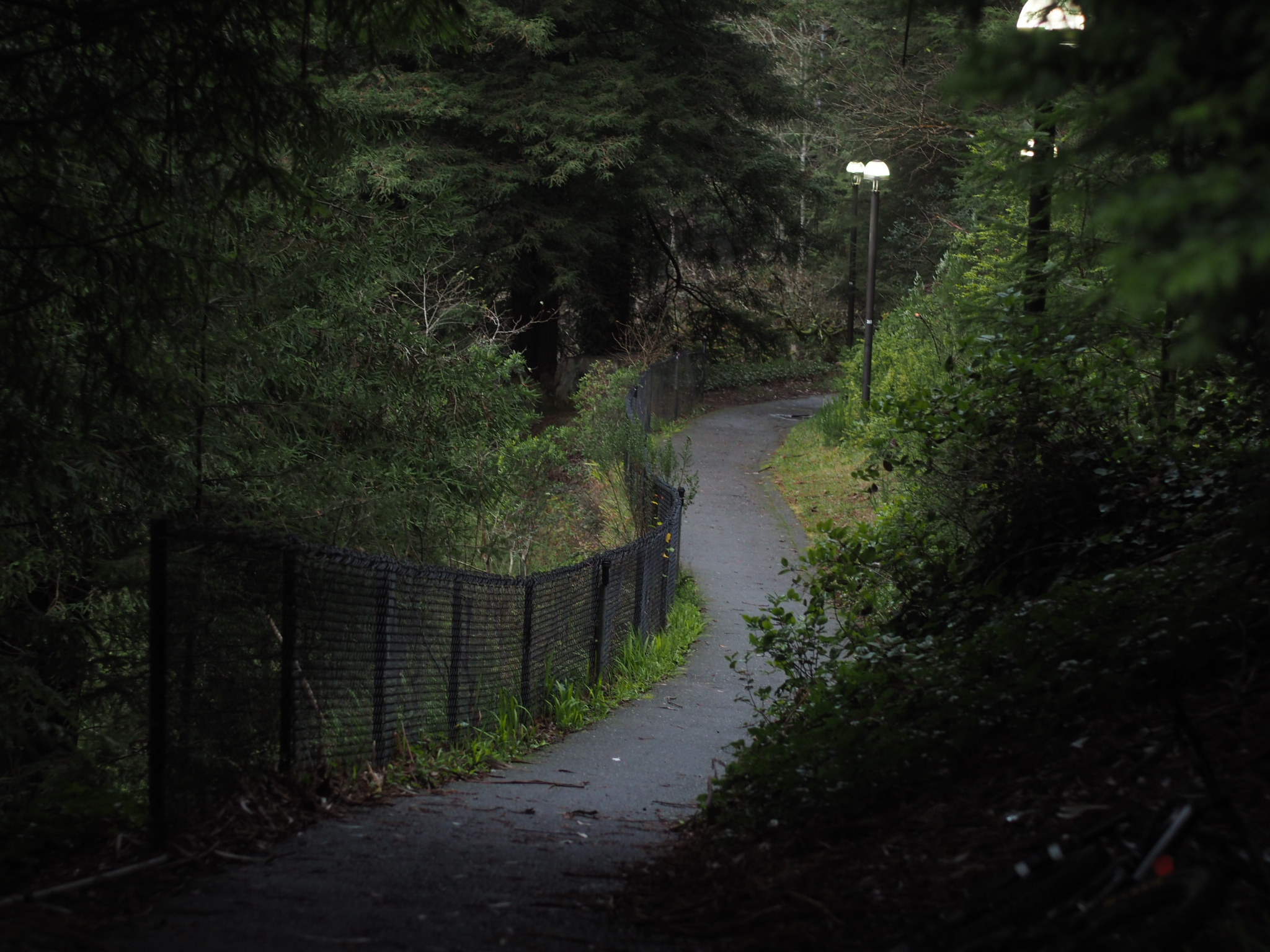 Outdoor sports enthusiasts urge students to be mindful while sending
