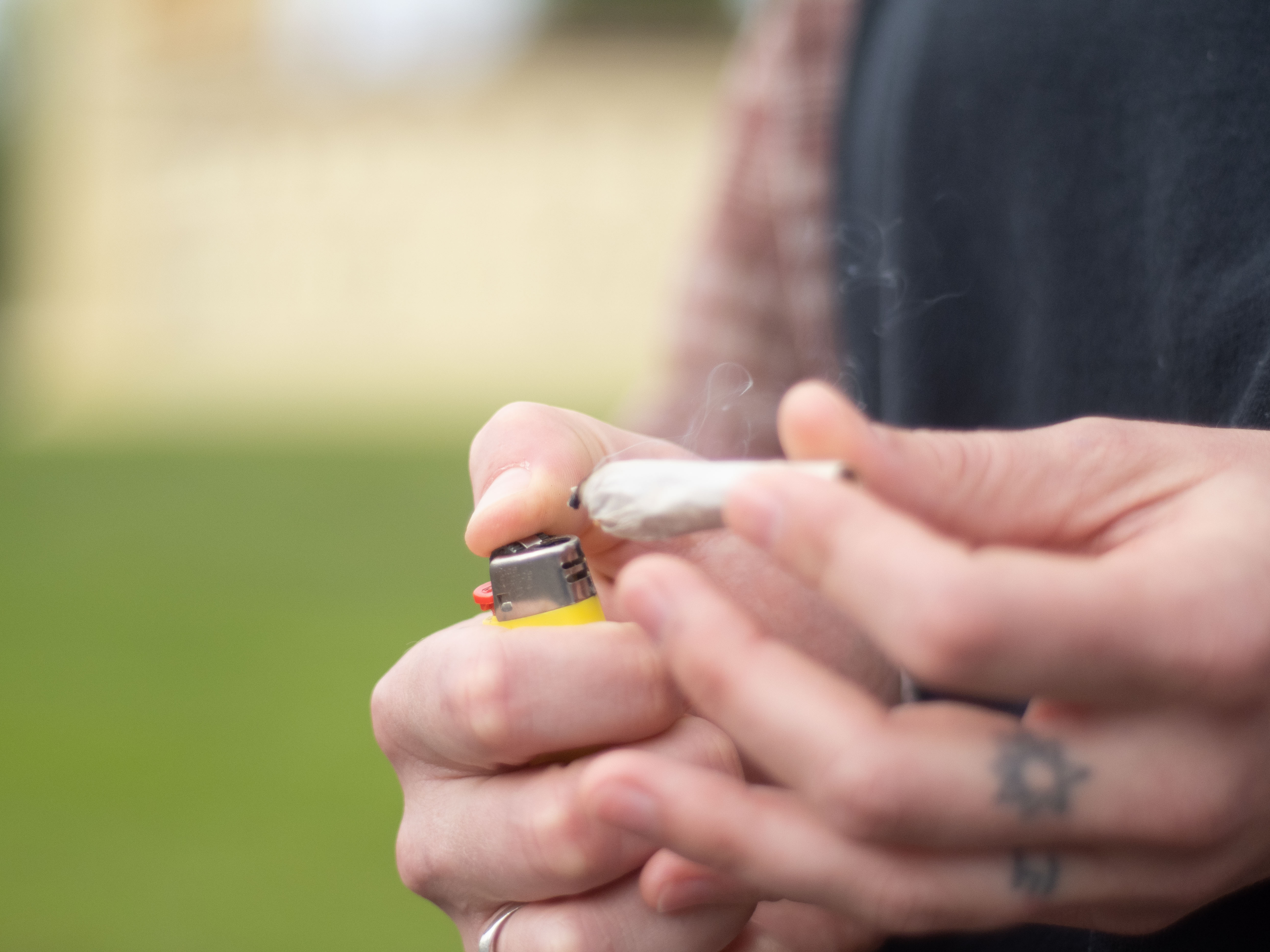 2020 Security Report Revisits Cannabis Policy