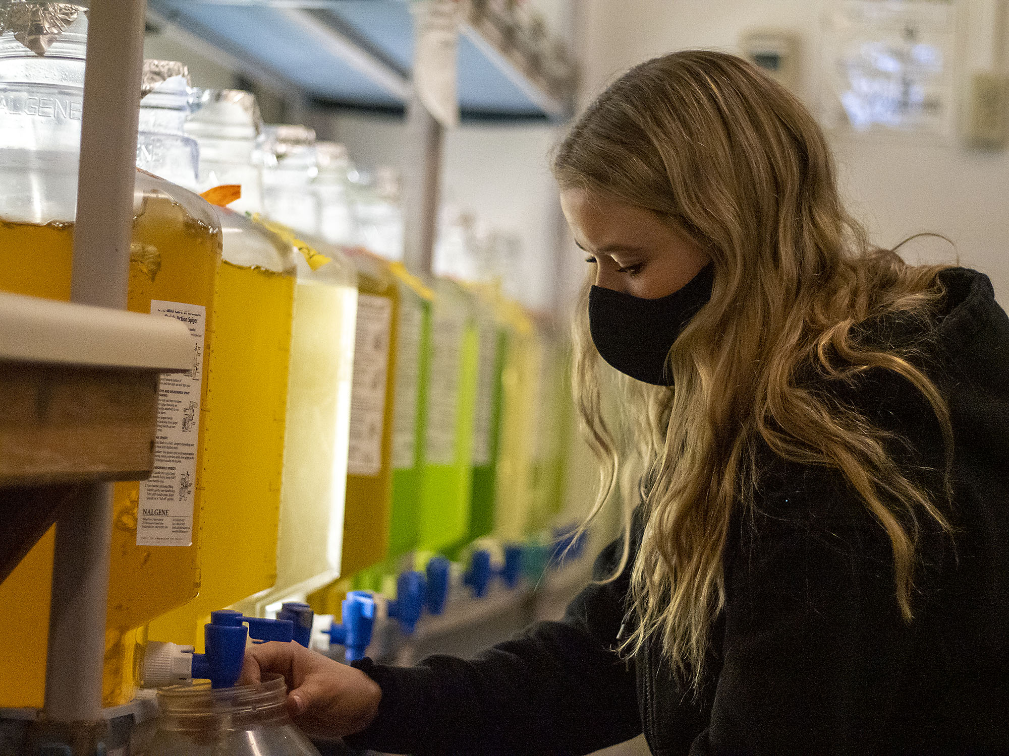 Students dive into oceanic research