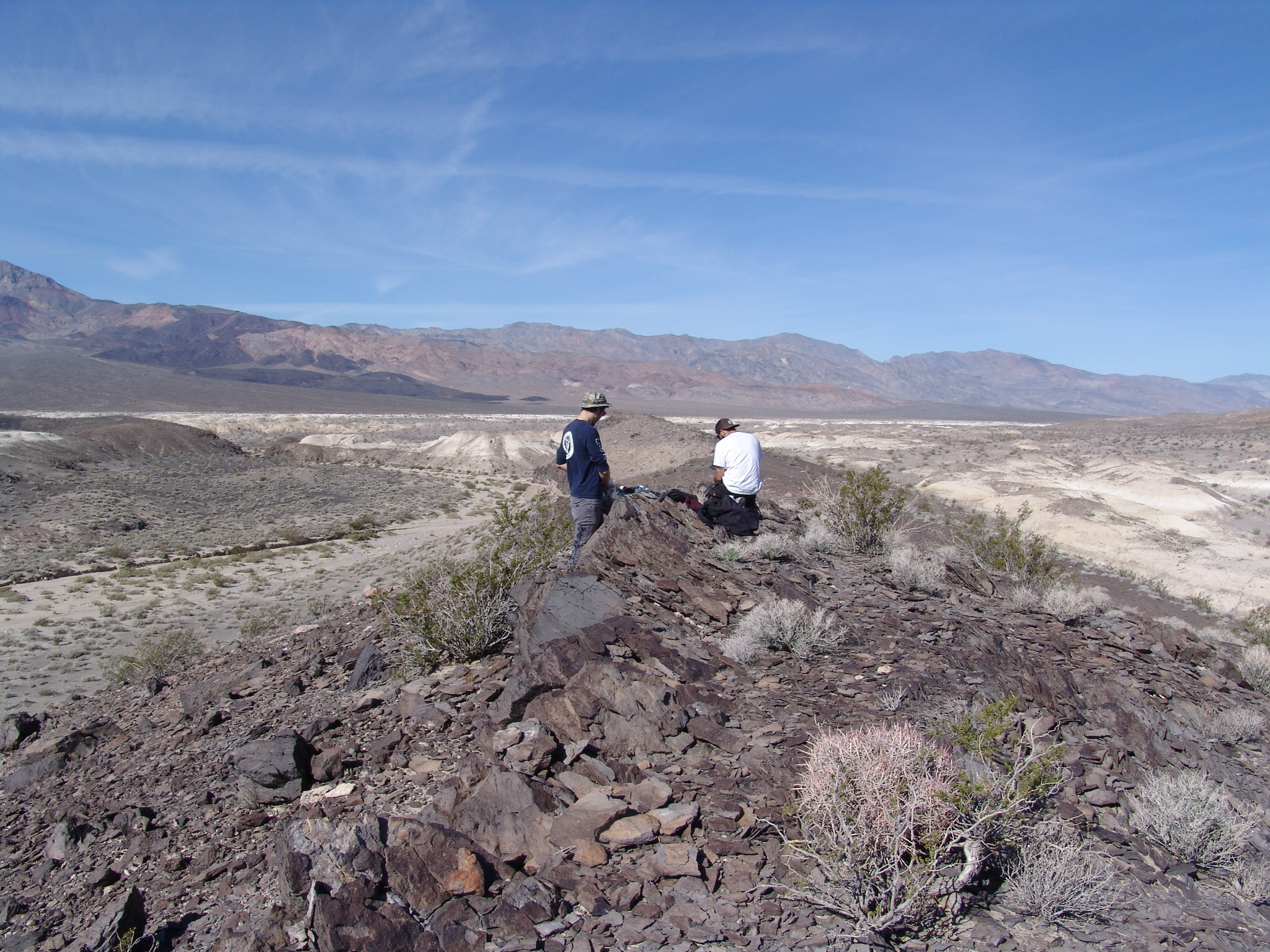 Featured researcher studies pupfish in geologic history