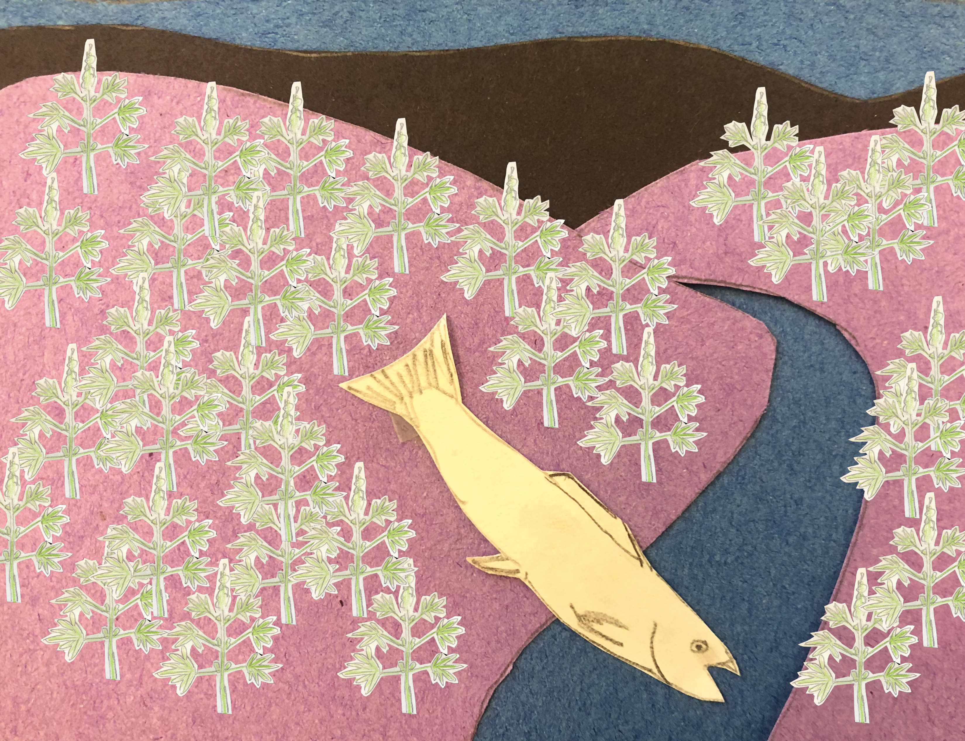 Trespassing cannabis grows threaten natural spaces