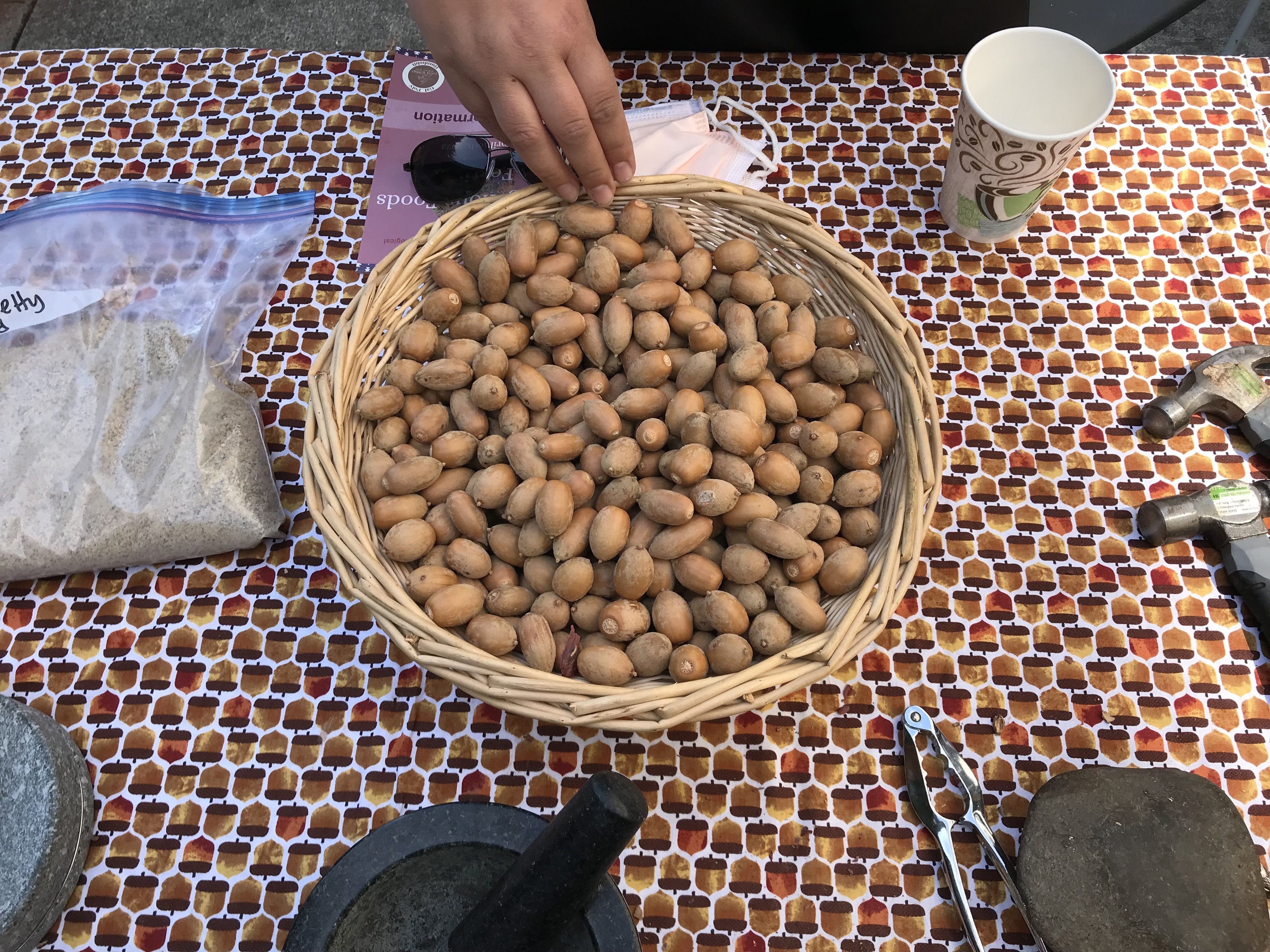 Indigenous Foods Festival highlights the importance of food sovereignty