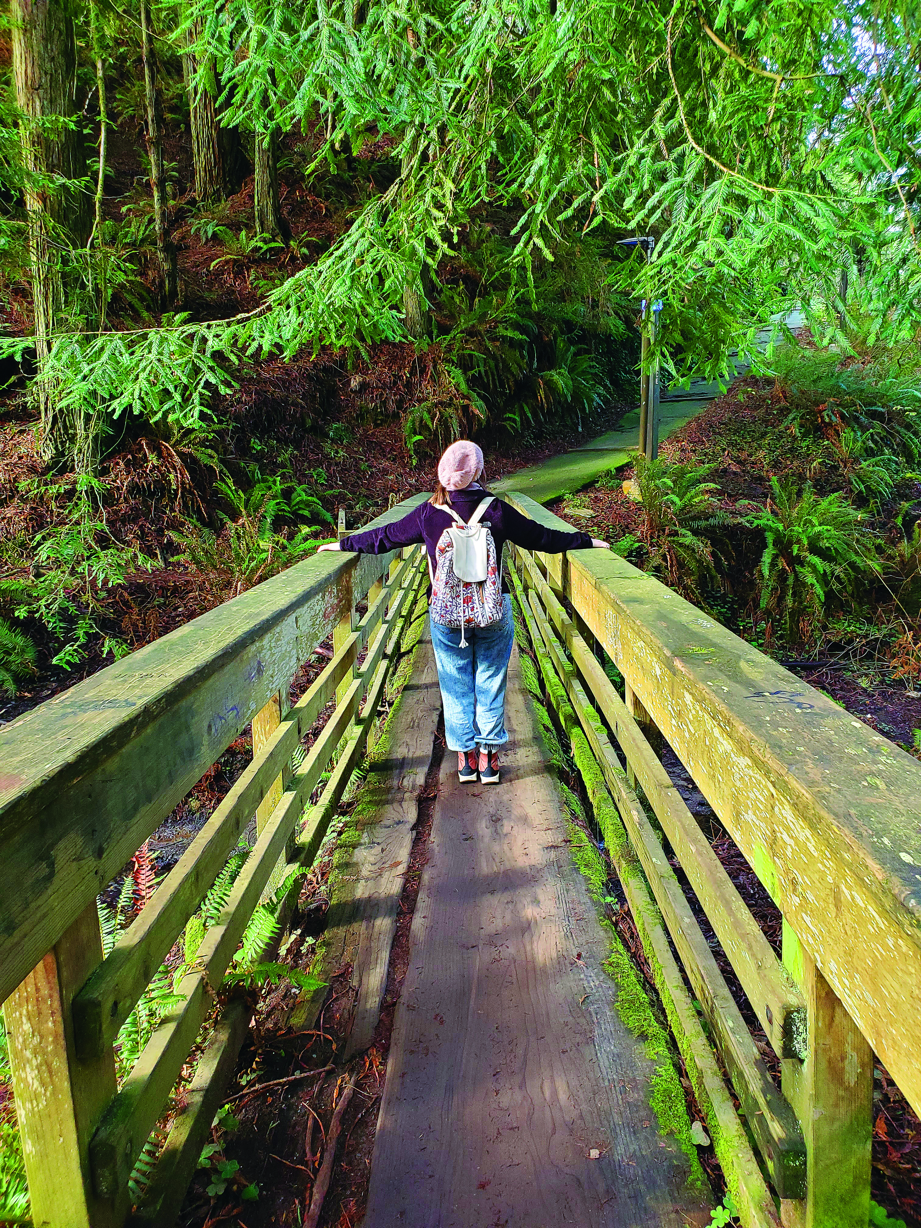 Take a Hike, why dontcha: A guide to the best hiking spots near Cal Poly Humboldt