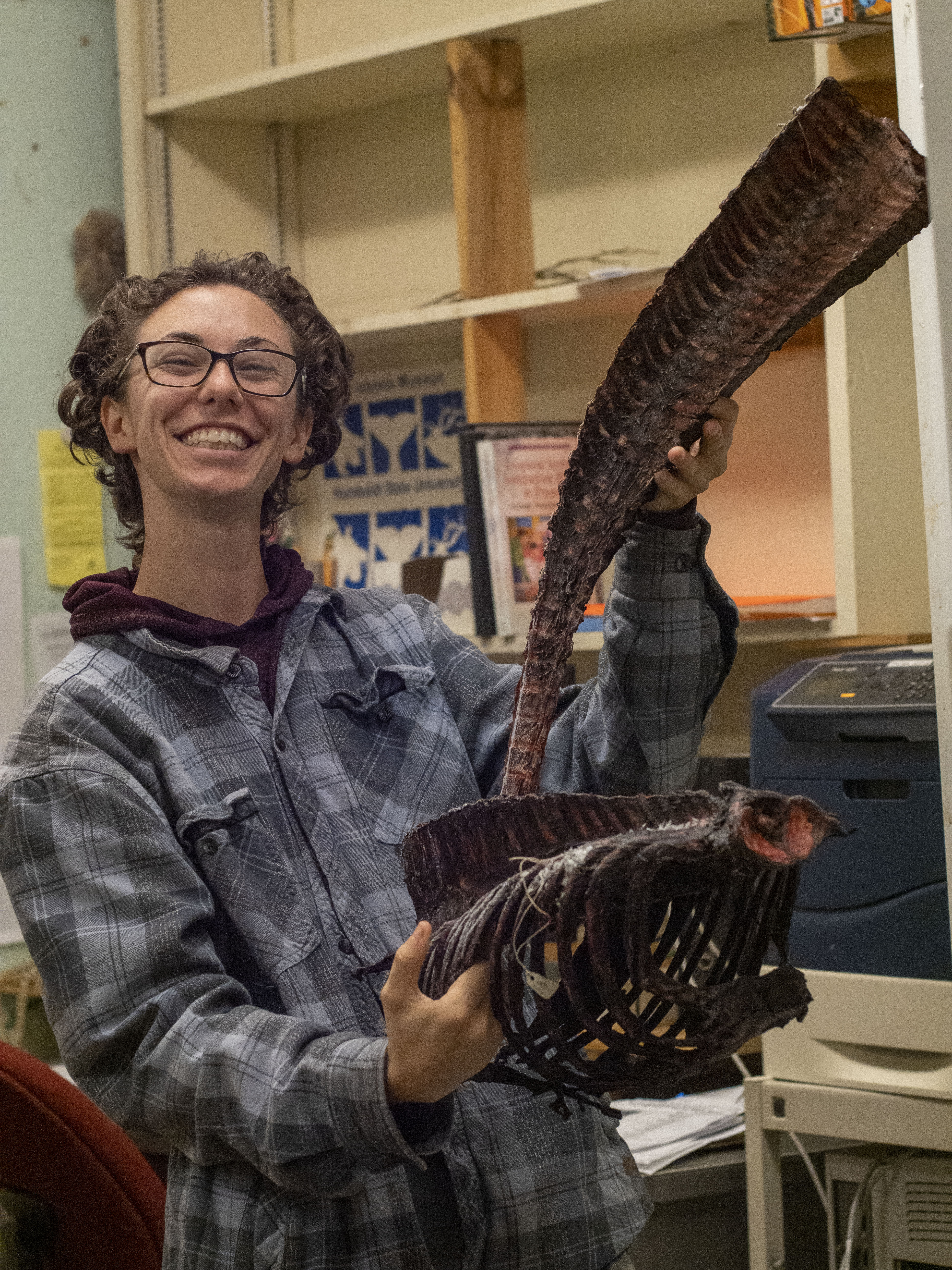 Cal Poly Humboldt’s vertebrate museum opens to the public for the first time