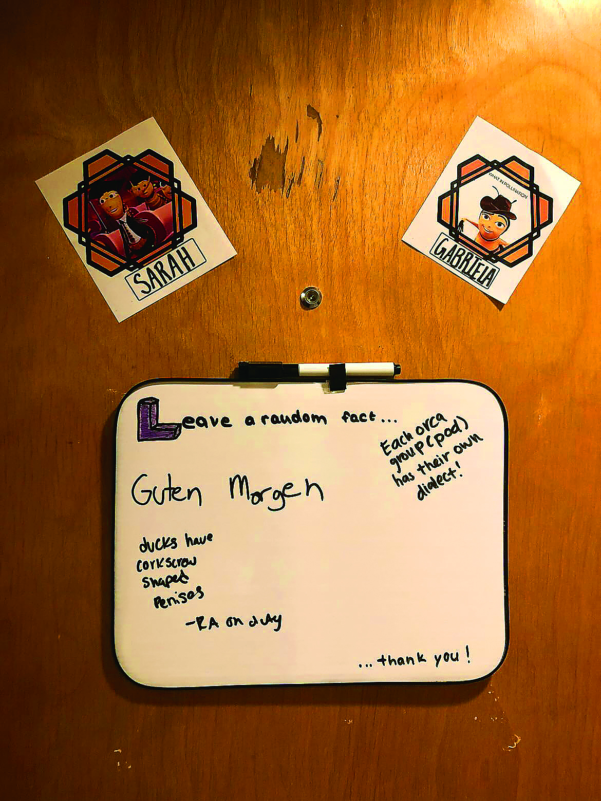 Comfortable at the Comfort Inn