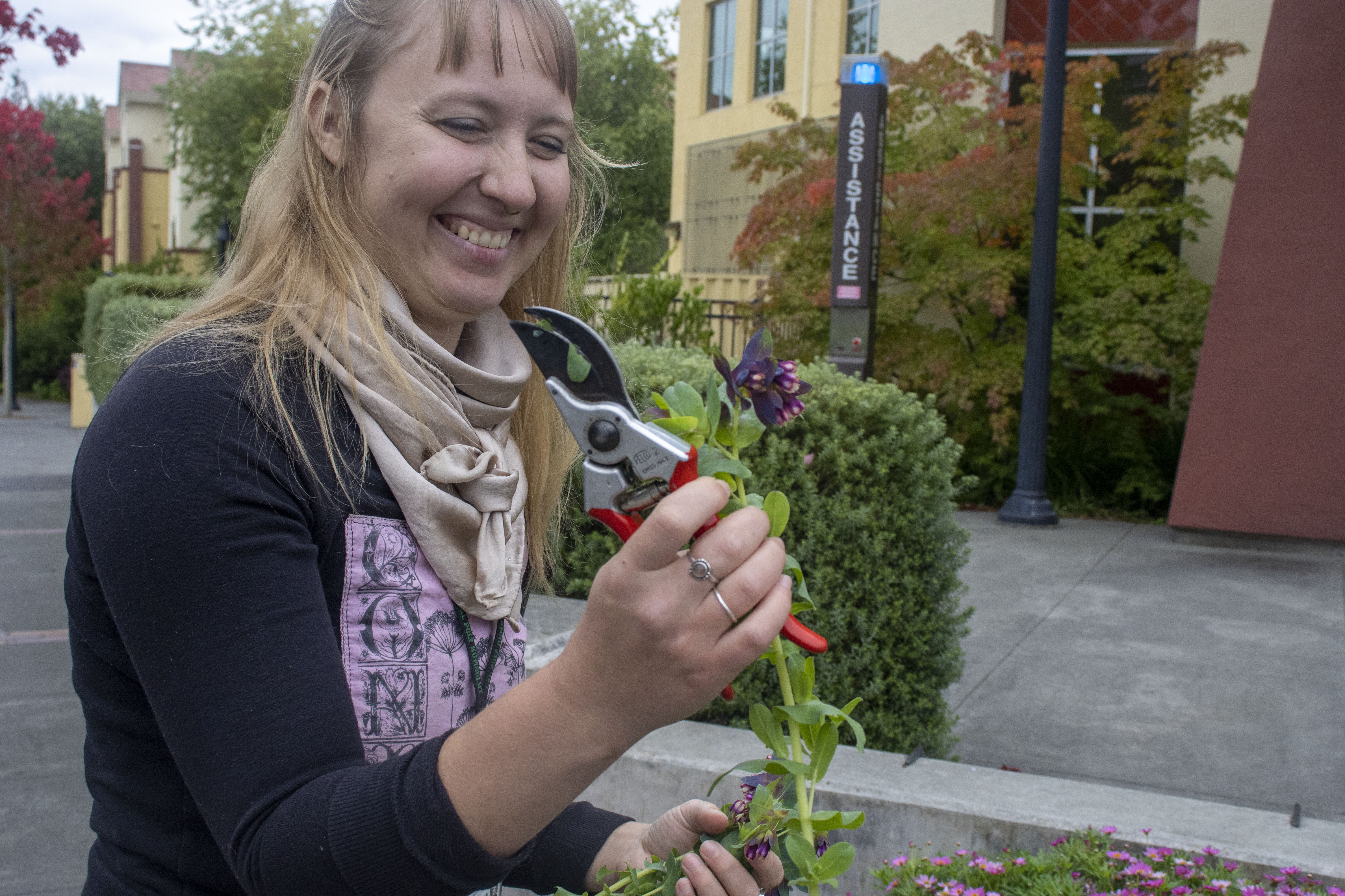 The Campus Collector 