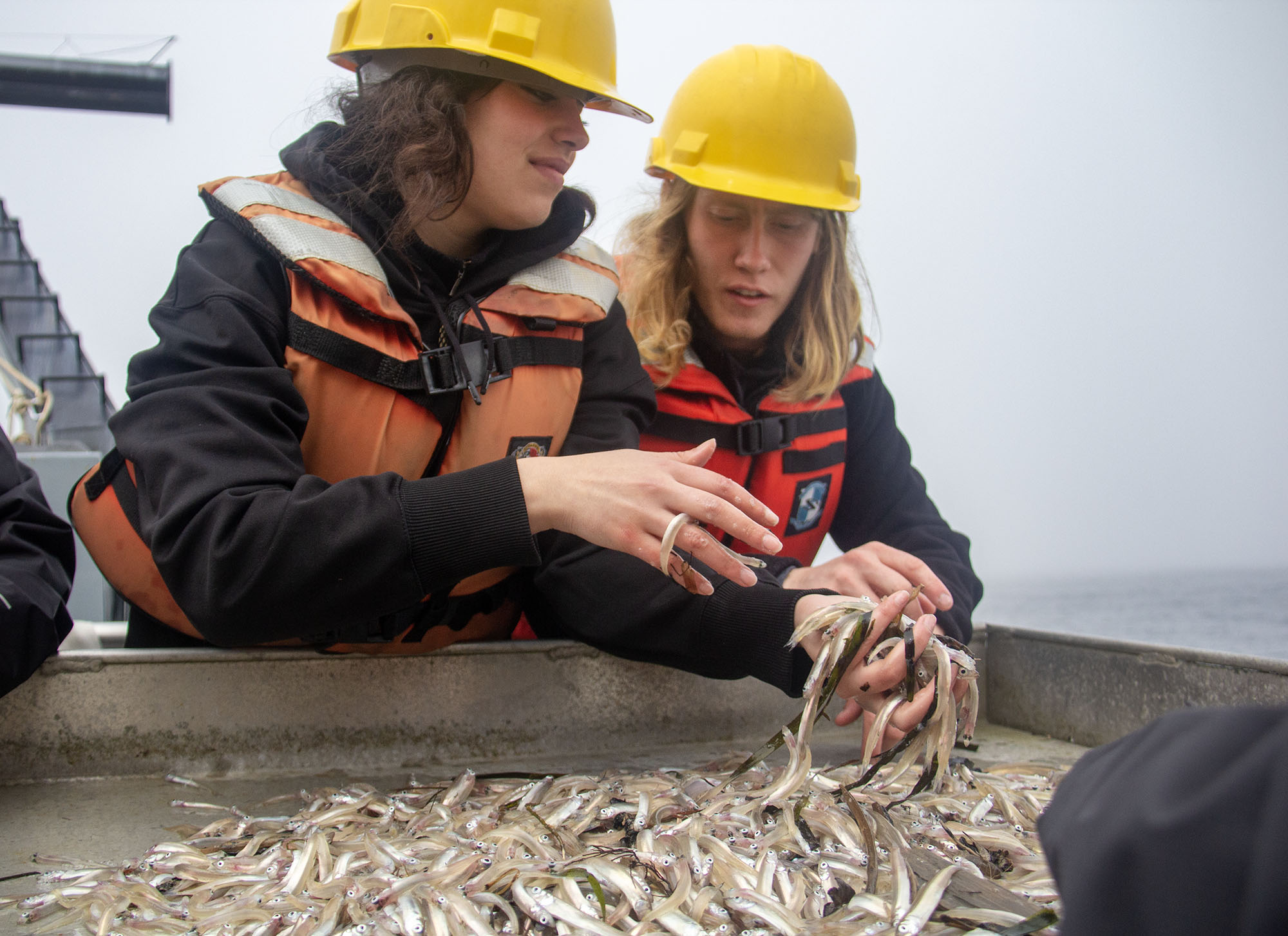 Research vessel brings students face-to-face with ocean creatures