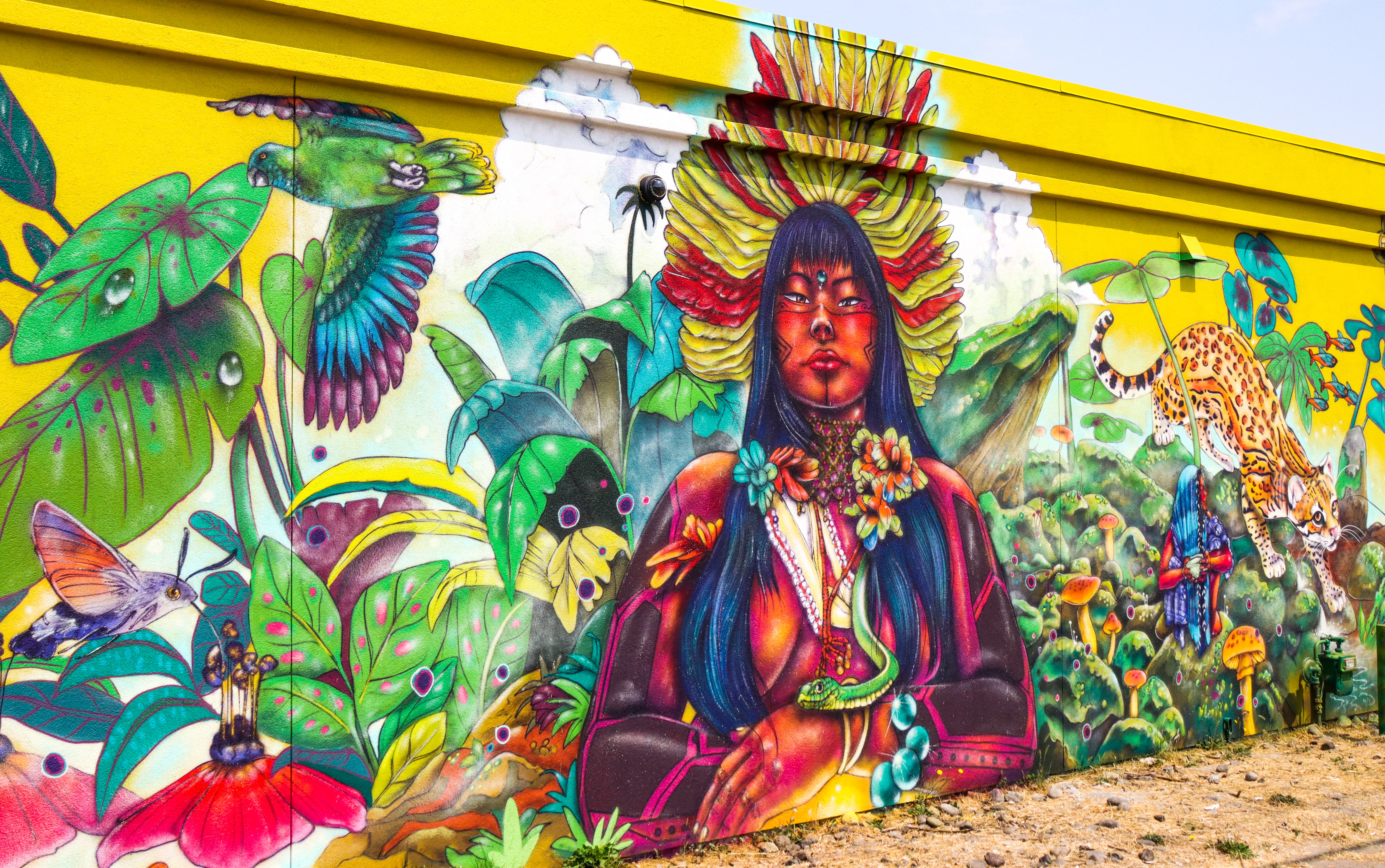 The Eureka Street Art Festival