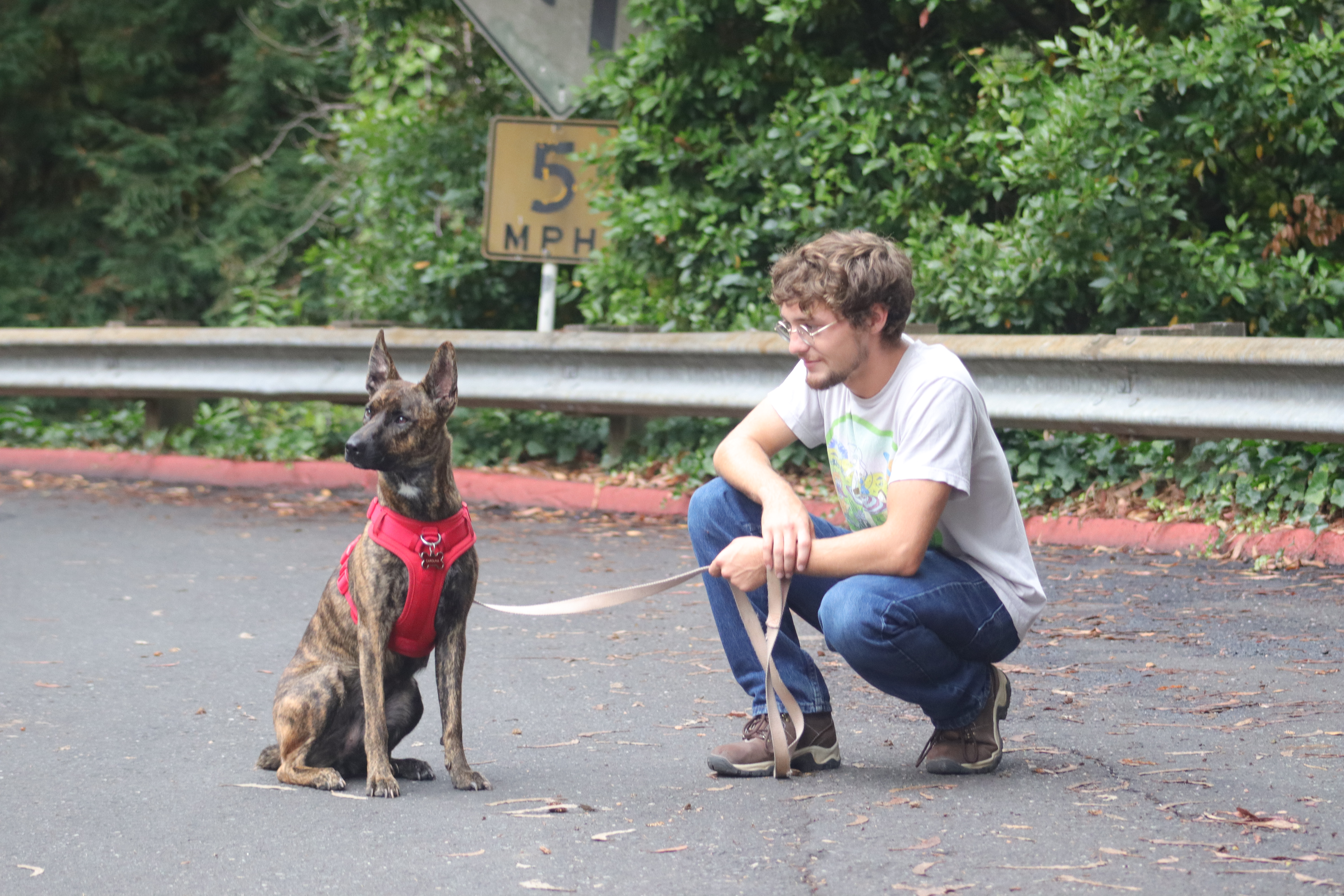 Pets keep students healthy and happy