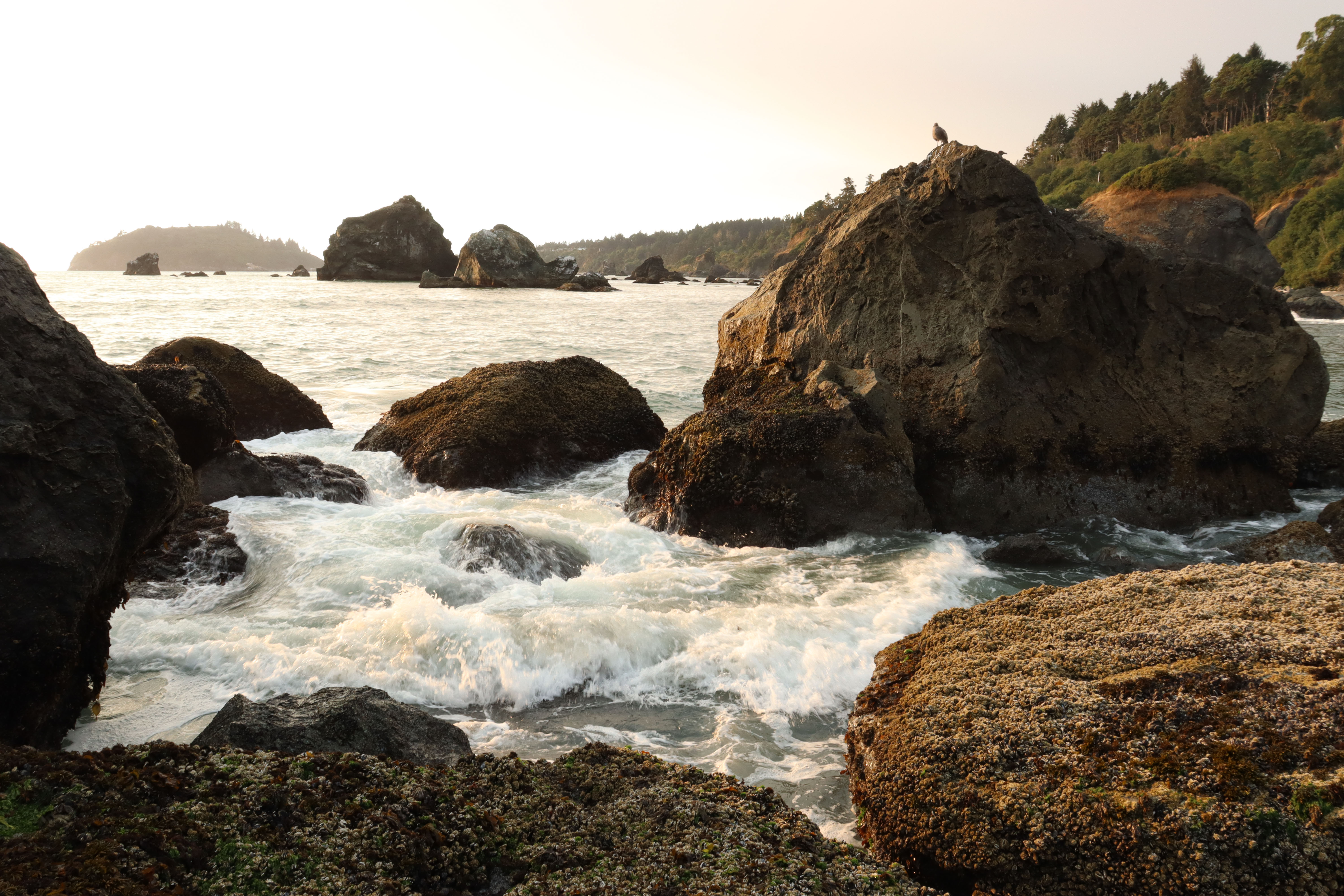Water hazards in Humboldt County 