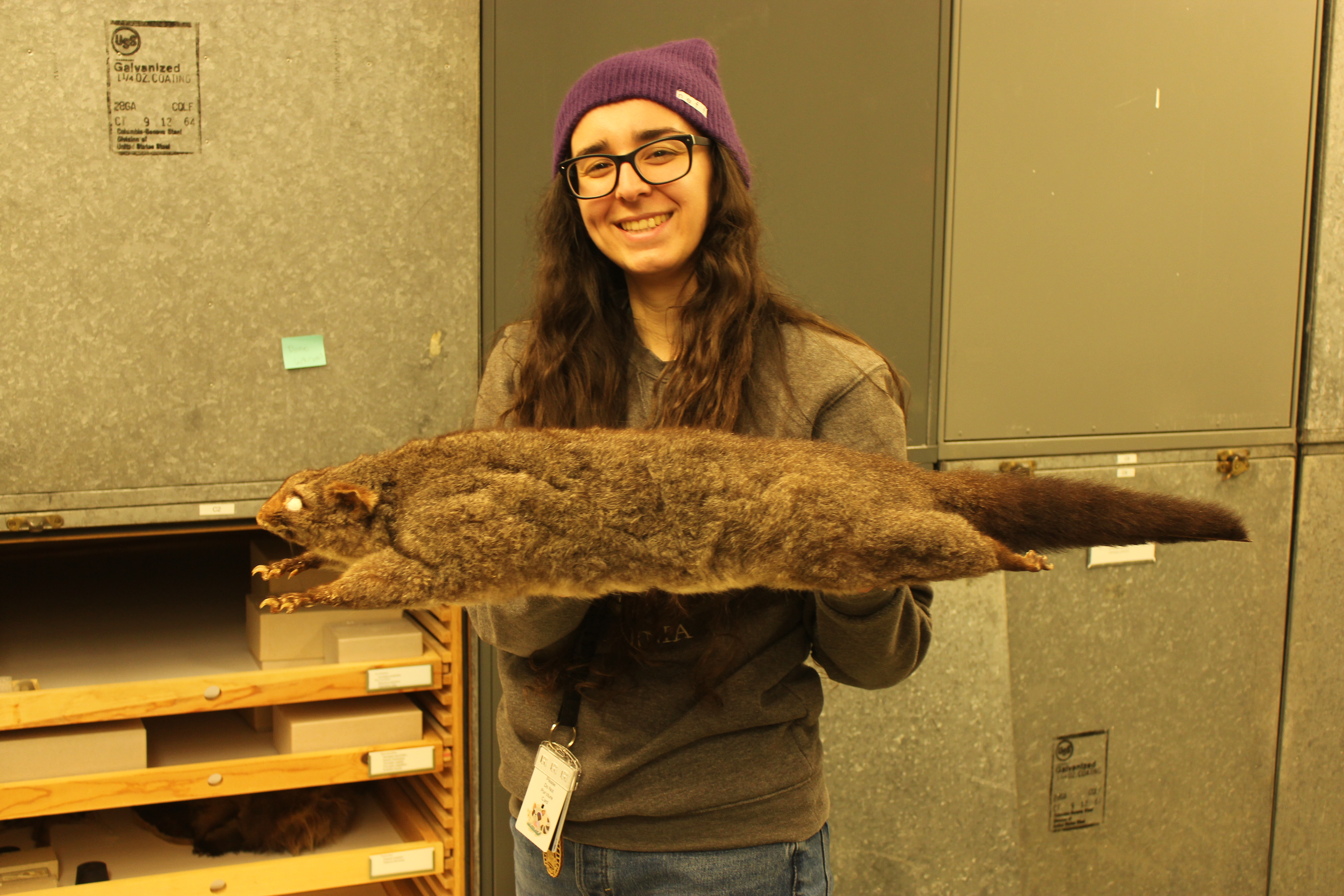 Mammalogy and more: the wonders of the Vertebrae Museum