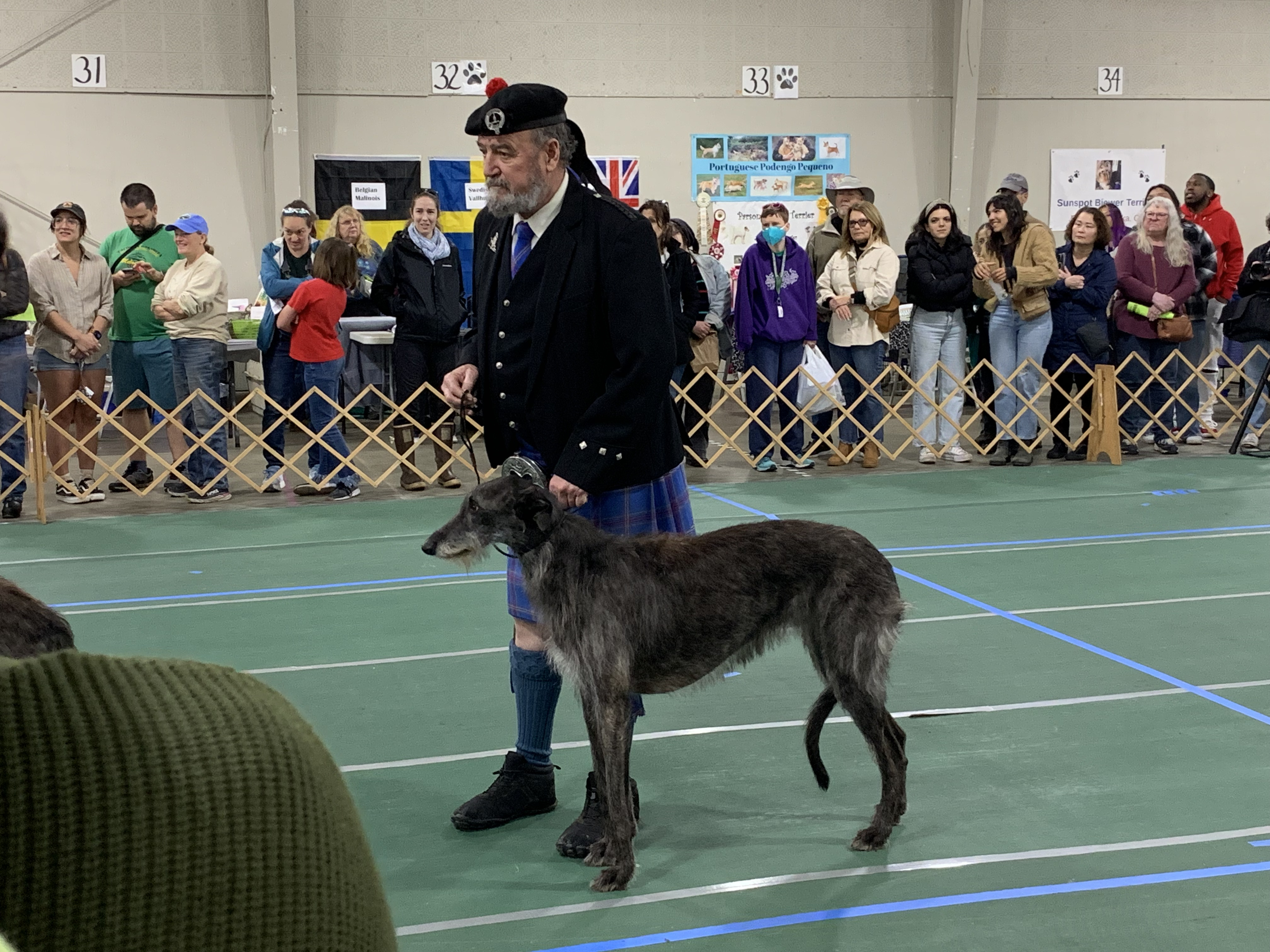 Having a doggone good time at the Dog Expo