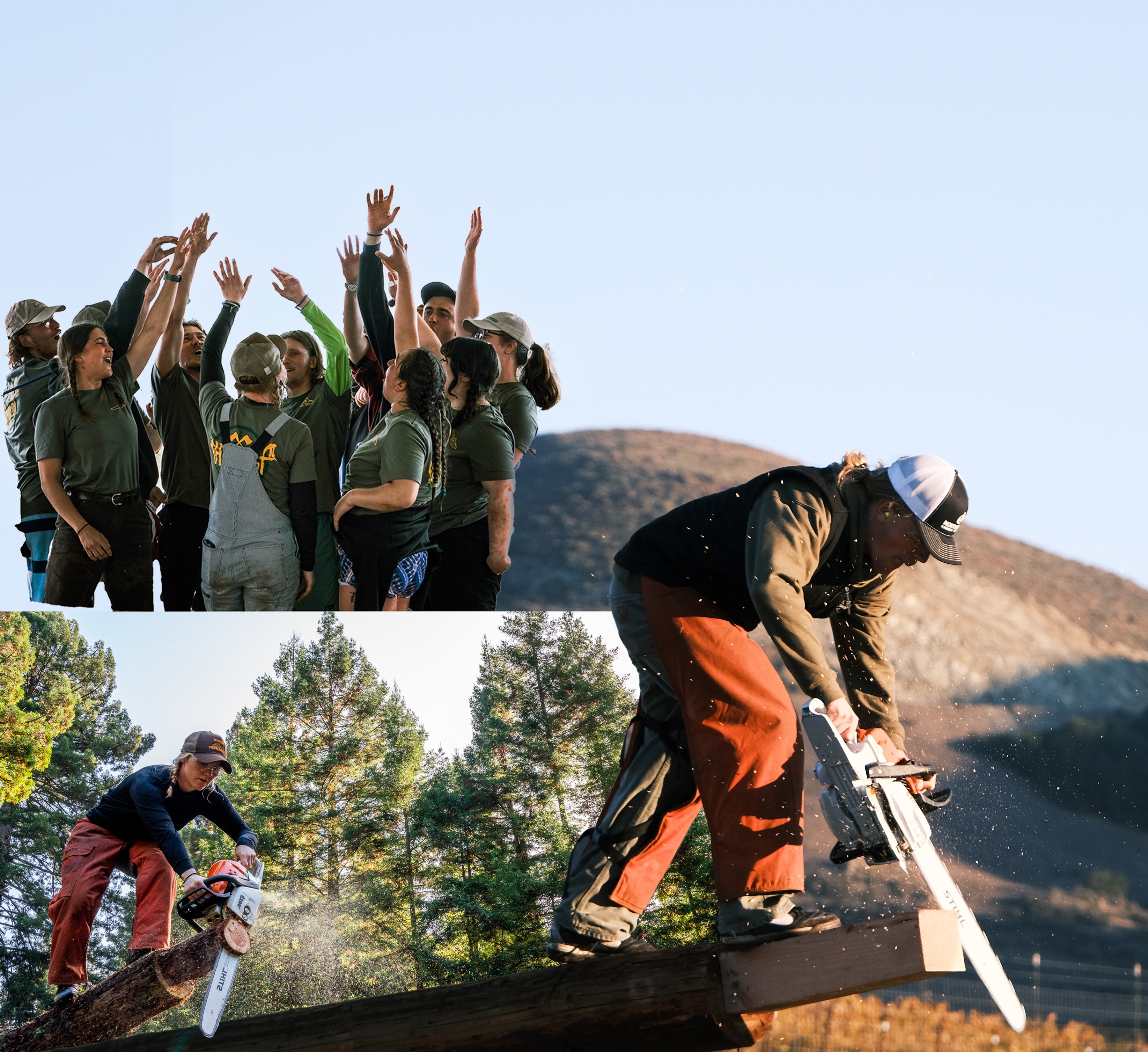 LOGGING THEIR HOURS ‘JACKS SHARPEN THEIR AXES        