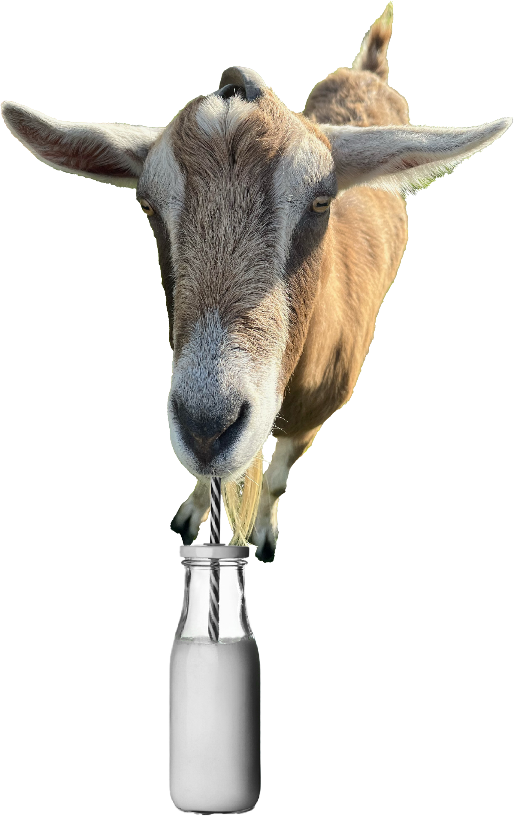 Horoscopes except it’s the type of milk you drink