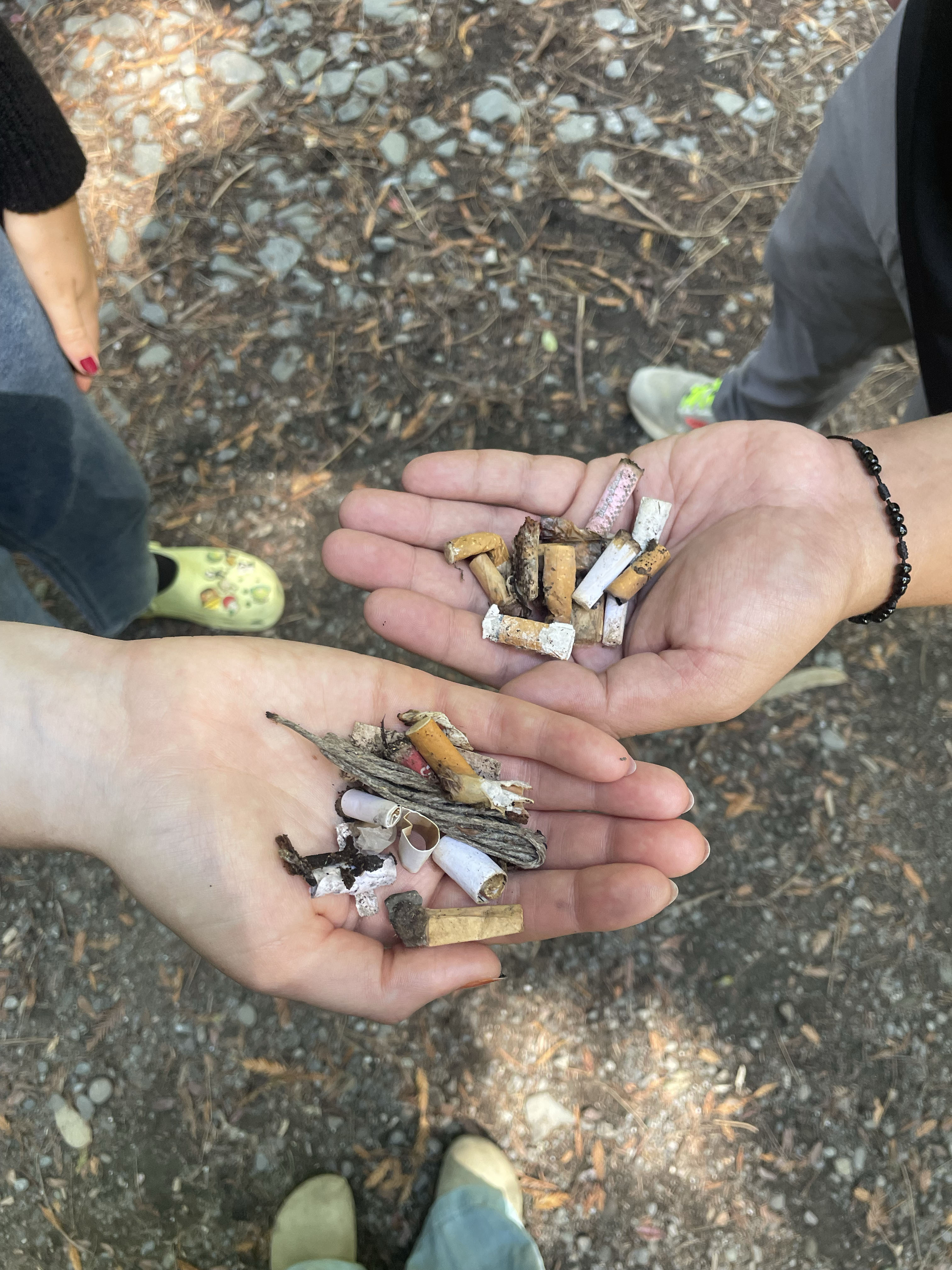 Preserving Our Community Forest