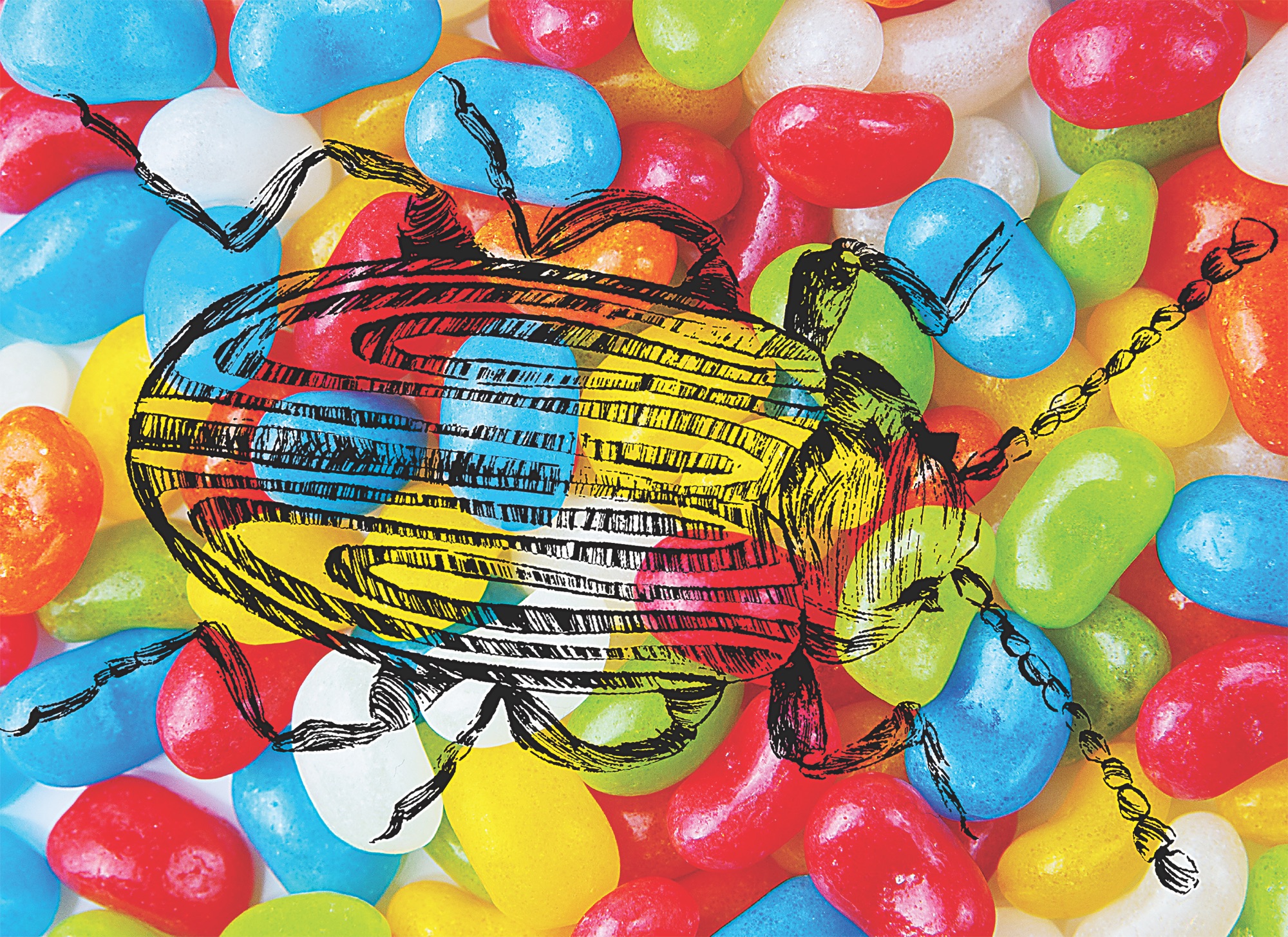 Bugs are in our candy, might as well eat ‘em