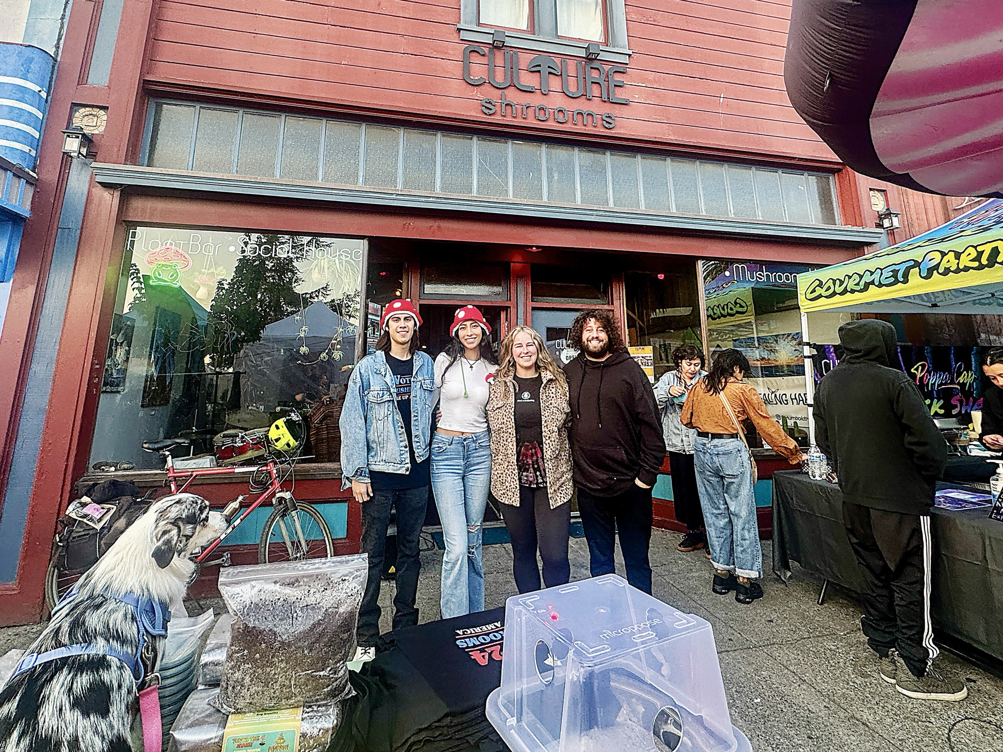 Community Blooms at the Fungi Festival&nbsp;