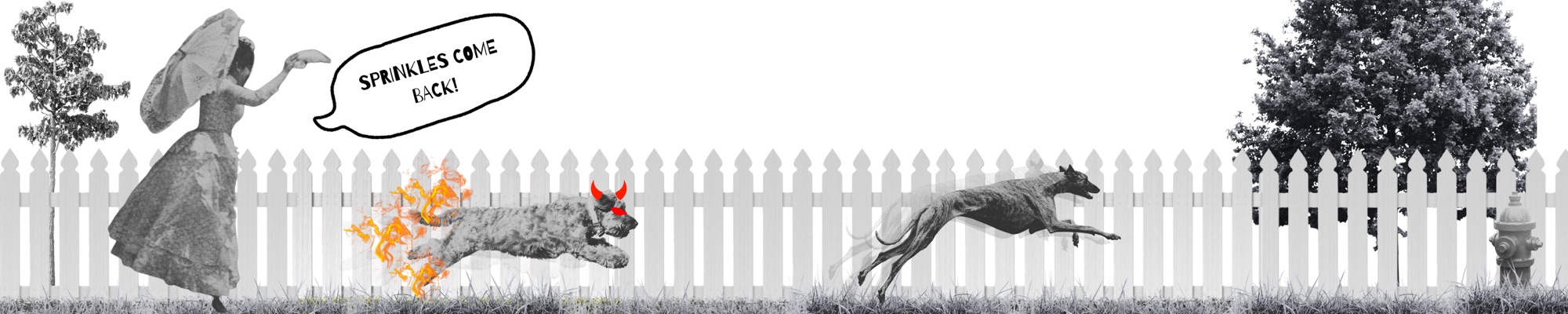 Dog parks are dirty, dangerous, detrimental, dysfunctional, and downright deadly