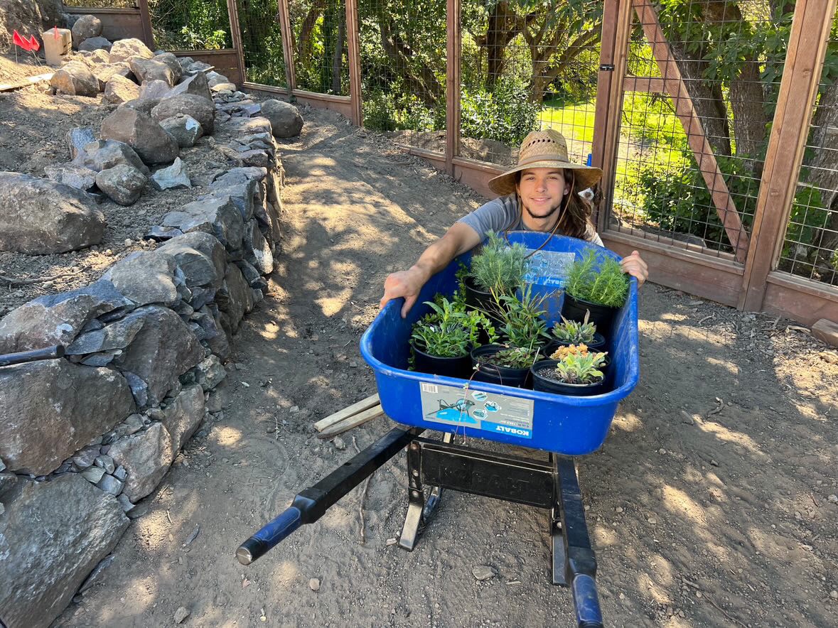 Jack McCann sows the seeds of revolution through native plant gardening&nbsp;
