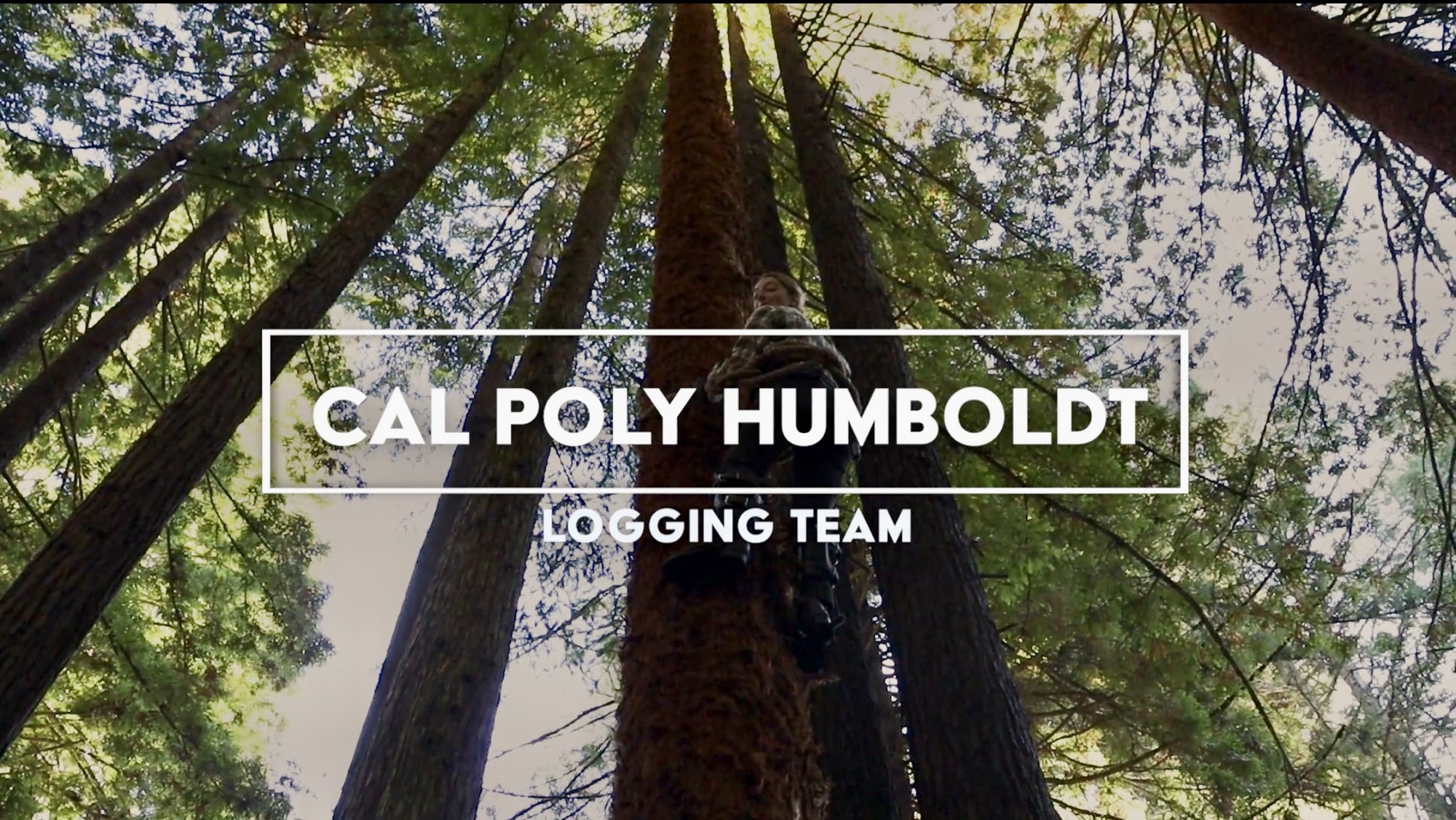 Watch to see the Cal Poly Humboldt Logging Team in action!