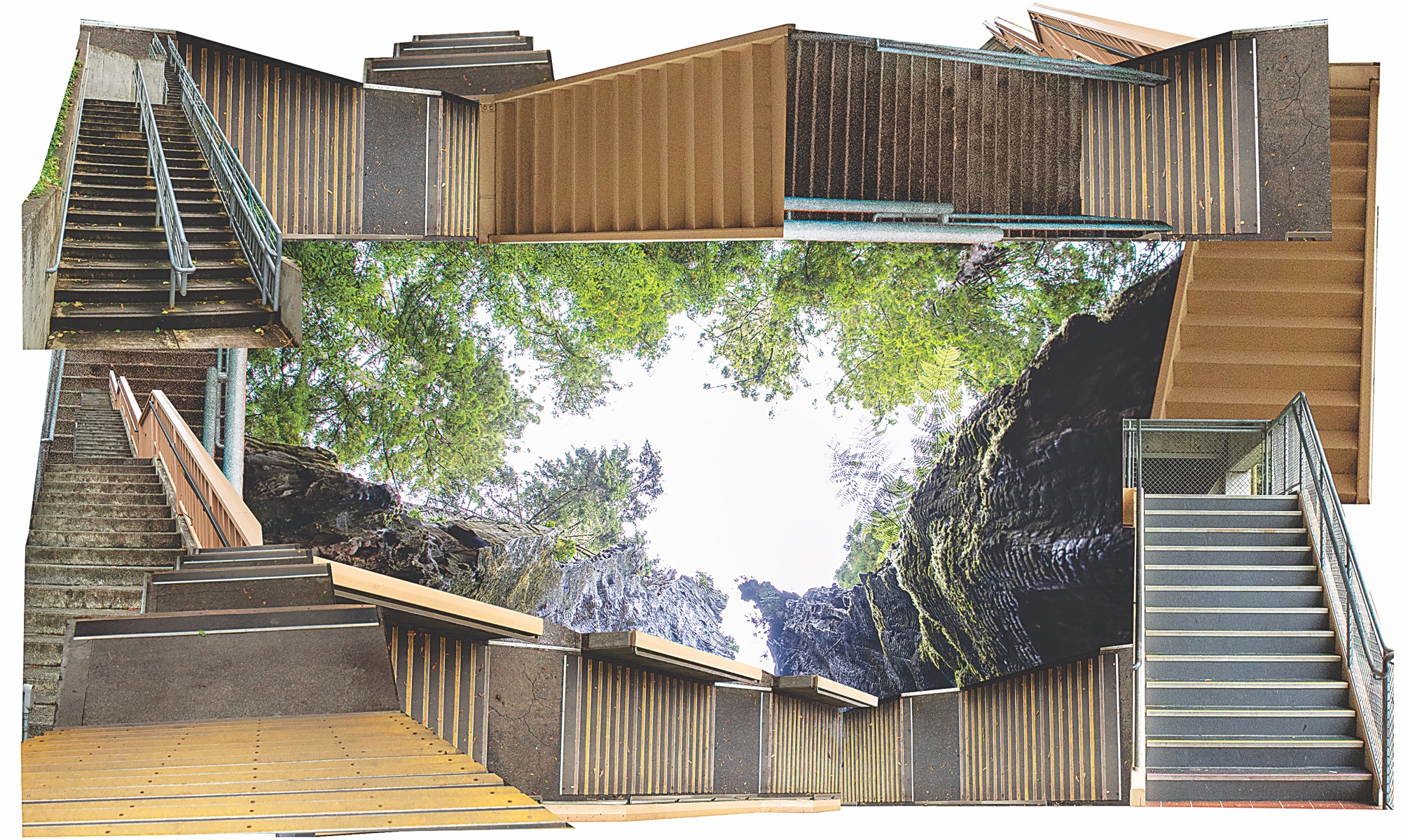 Disability and community among the resilient redwoods