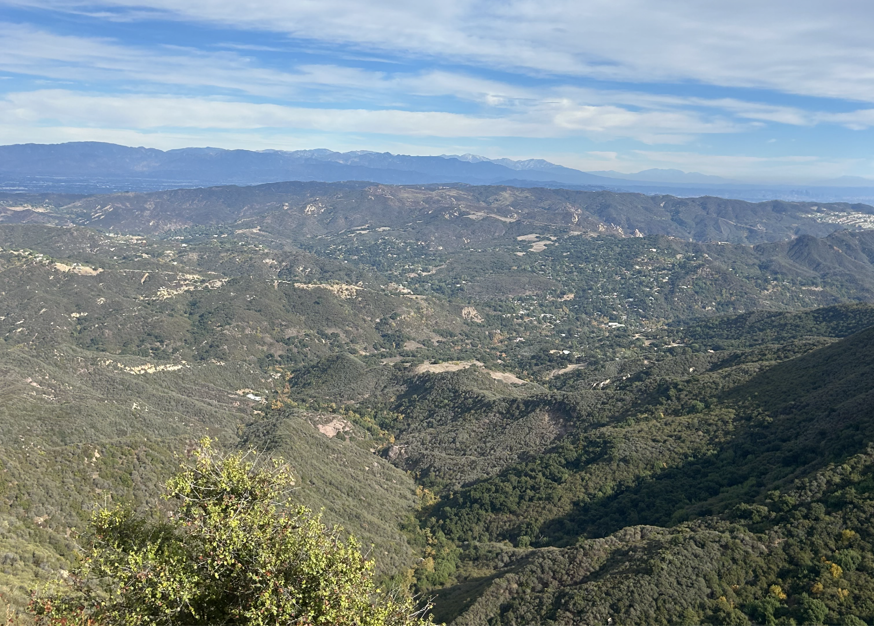 What’s happening in LA? Breaking down the science behind the Palisades and Eaton fires