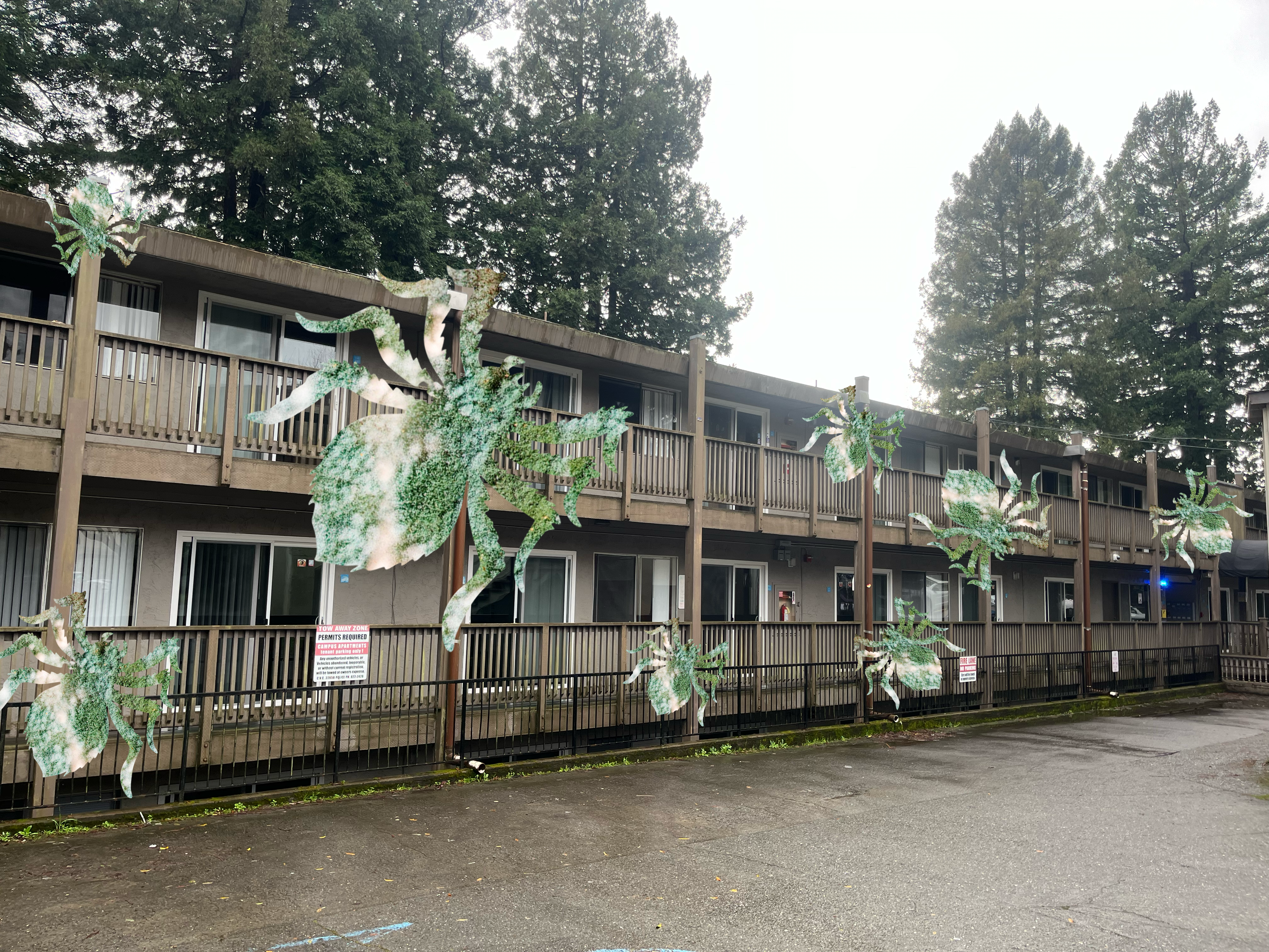 Relocated from Campus Apartments: The last residents reflect on the dorms