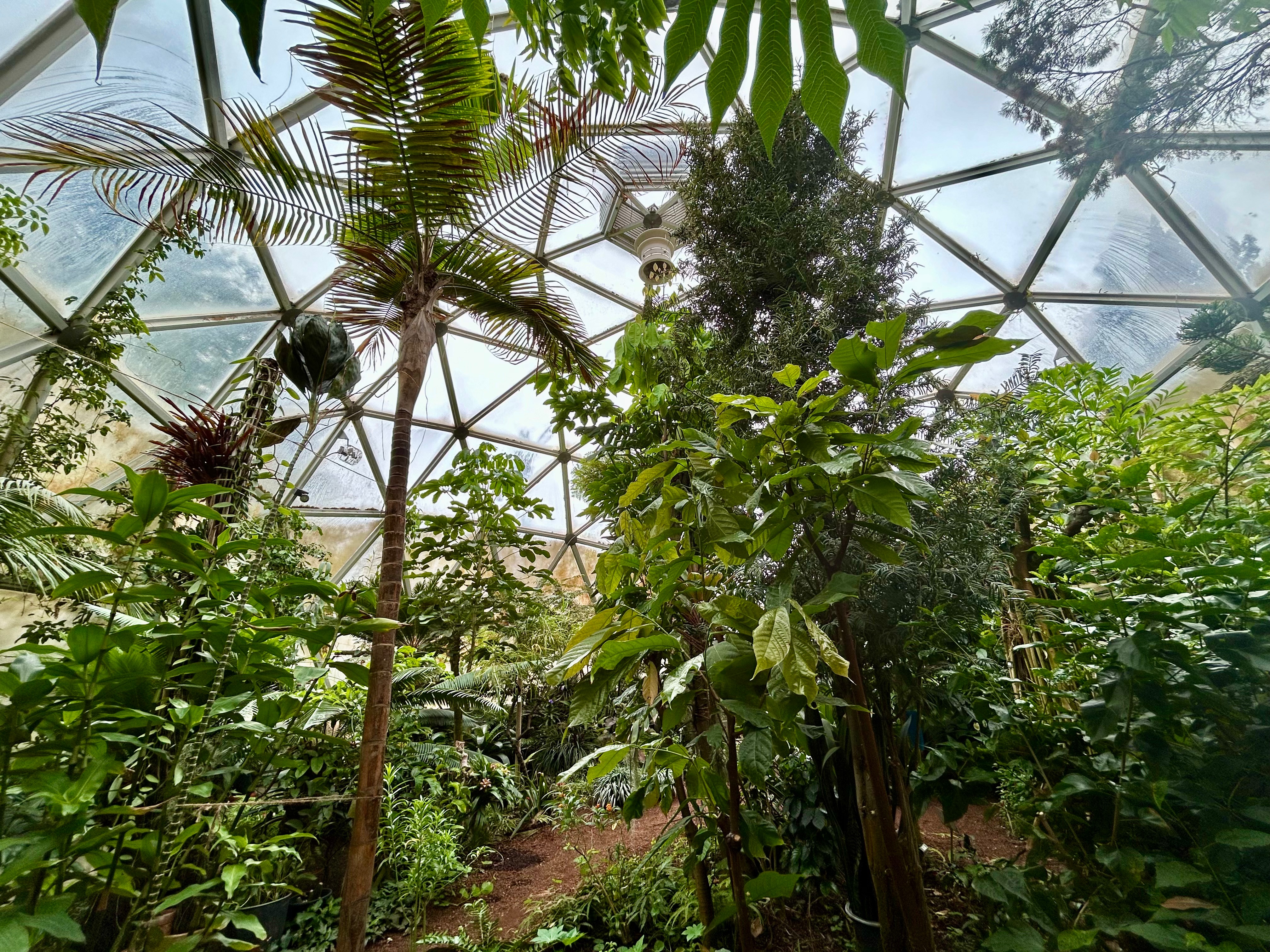 Plants, waterfalls, carnivores and more!