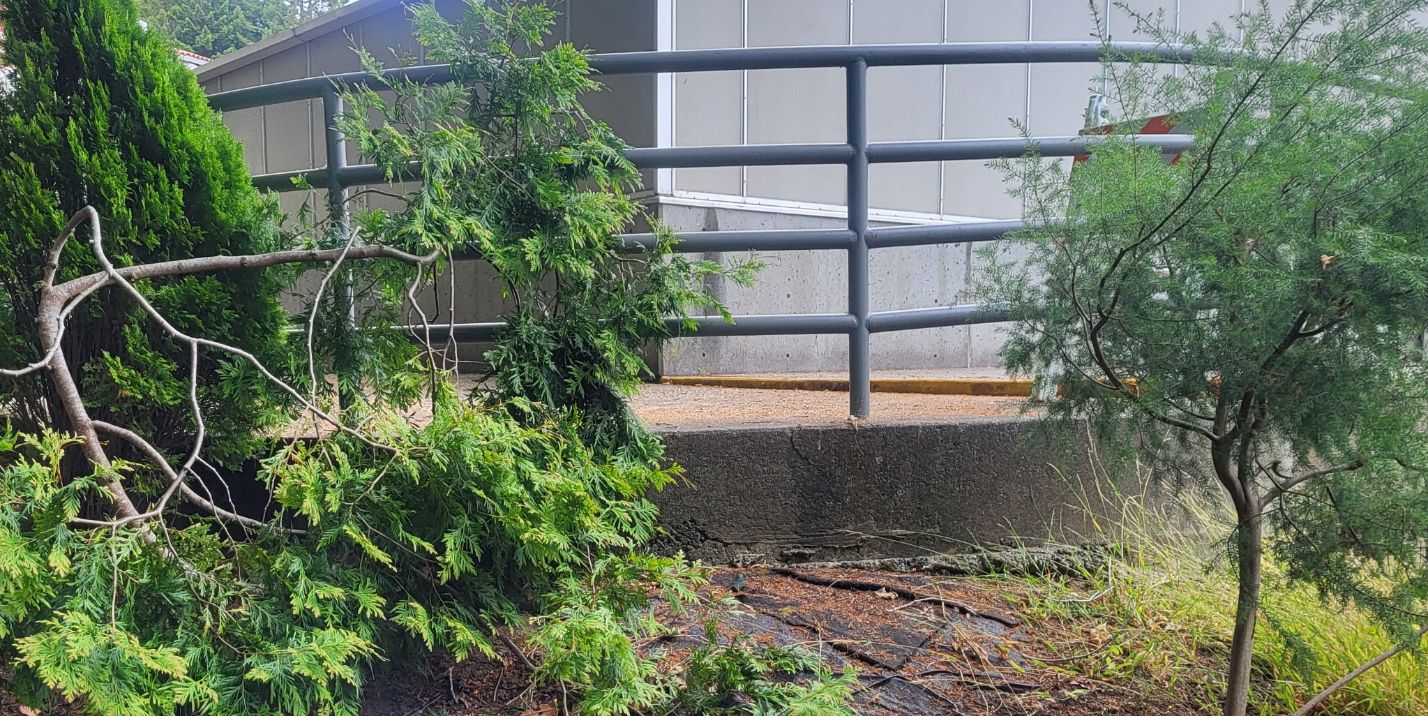 The history of accessibility at Humboldt