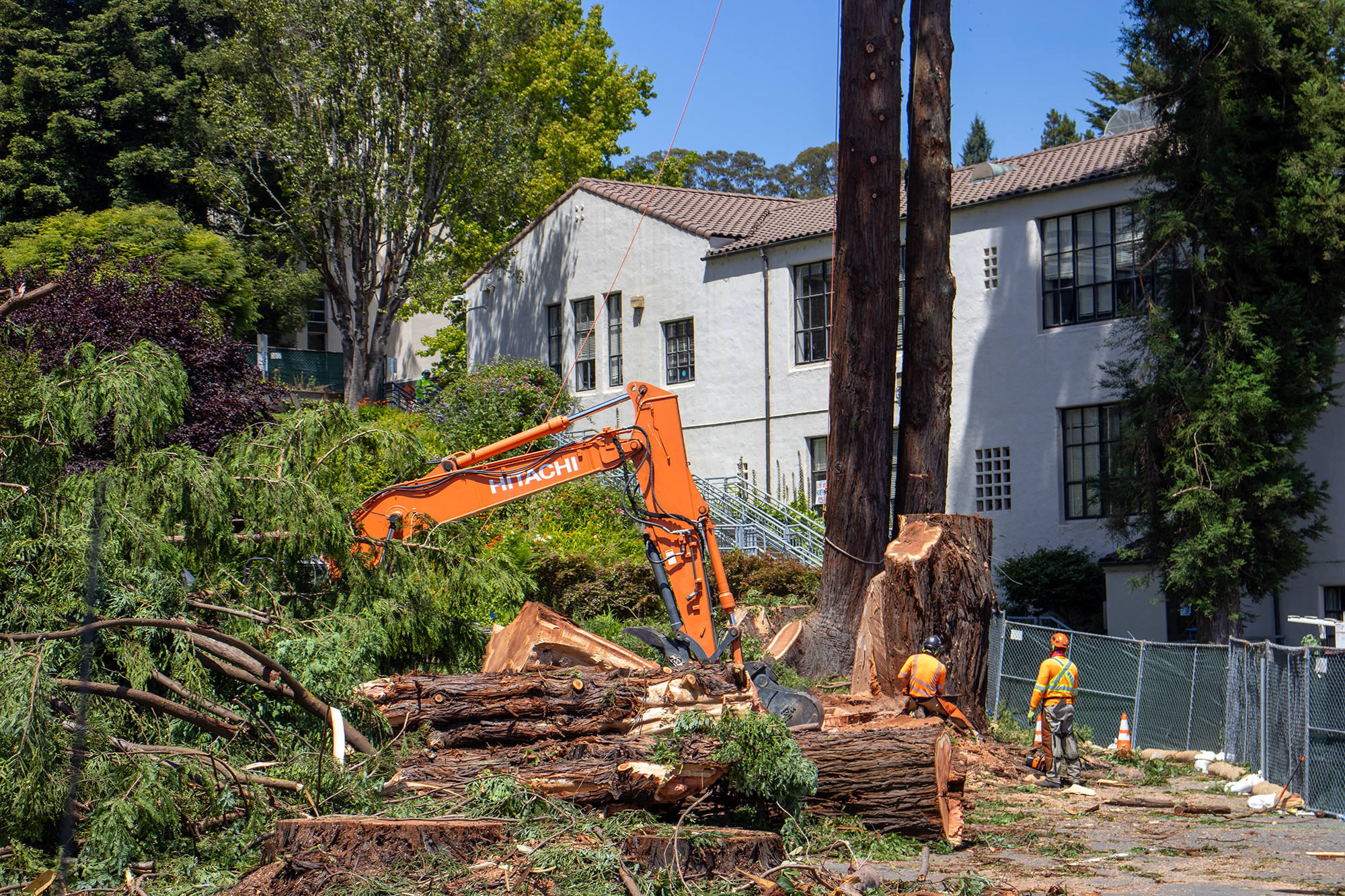 Moldy past, greener future: reimagining campus apartments’ former site