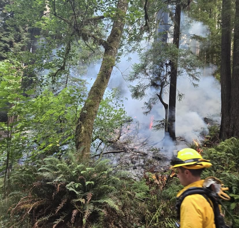 Fire contained in community forest