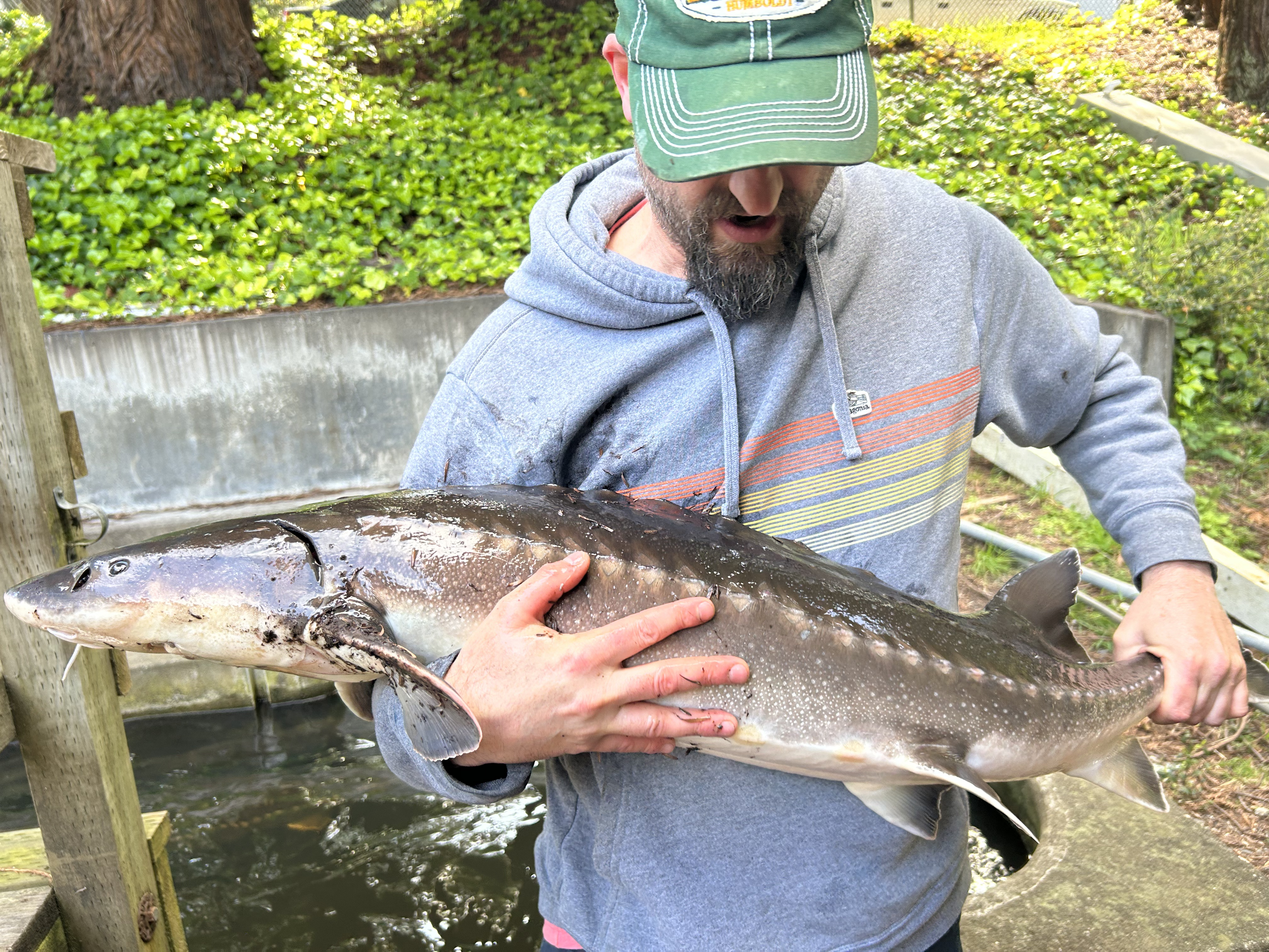 Water wonderland: campus hatchery houses vibrant array of fish