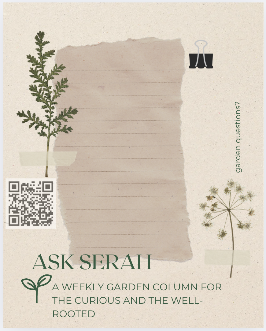 Gardening as a Form of Rest